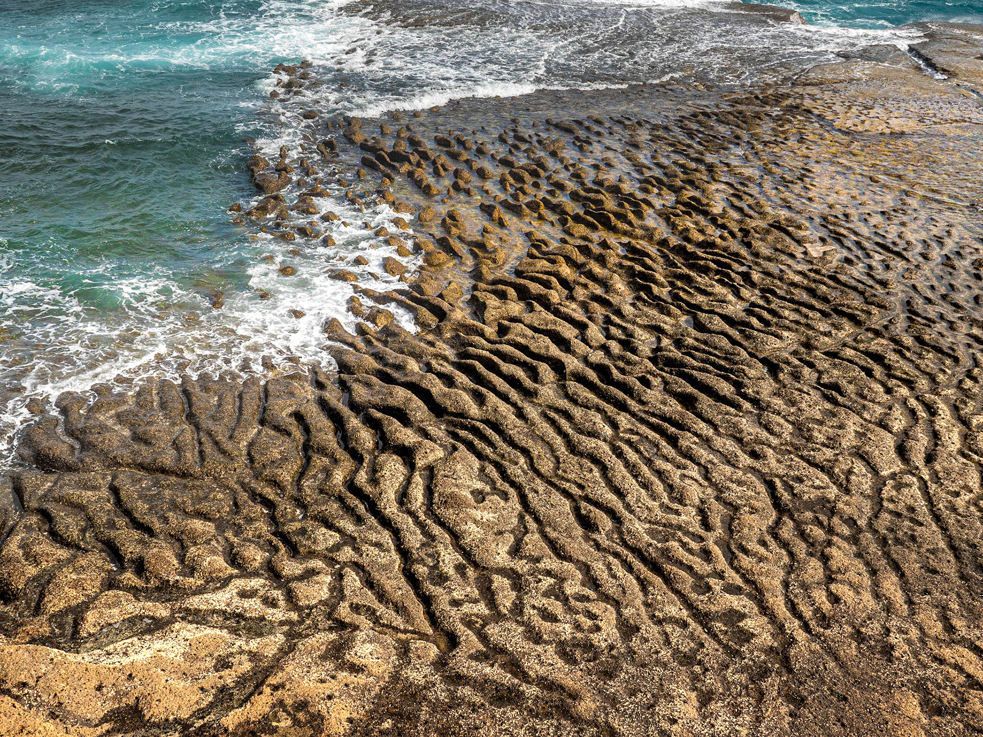 Near Las Arenas, Tenerife, 6 Feb 2022