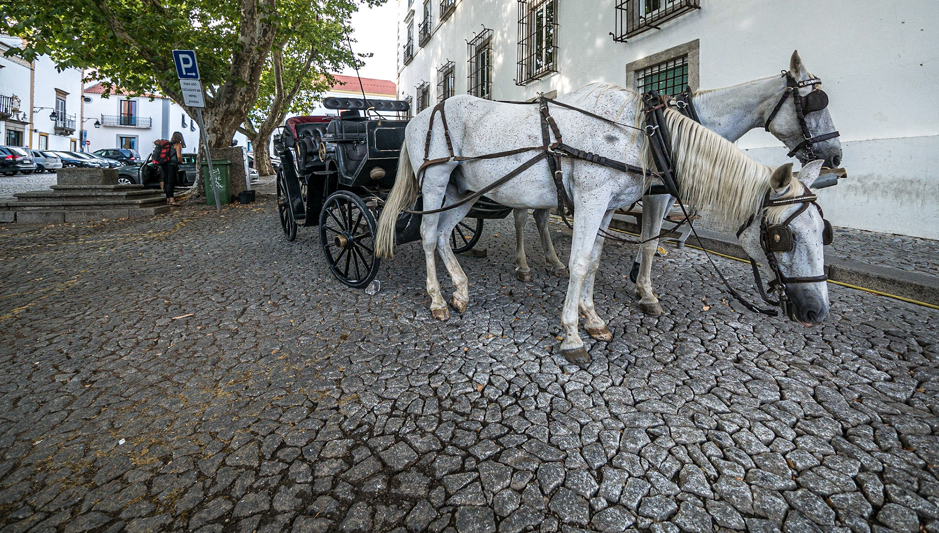 Near Évora cathedral, 9 Sep 2015
