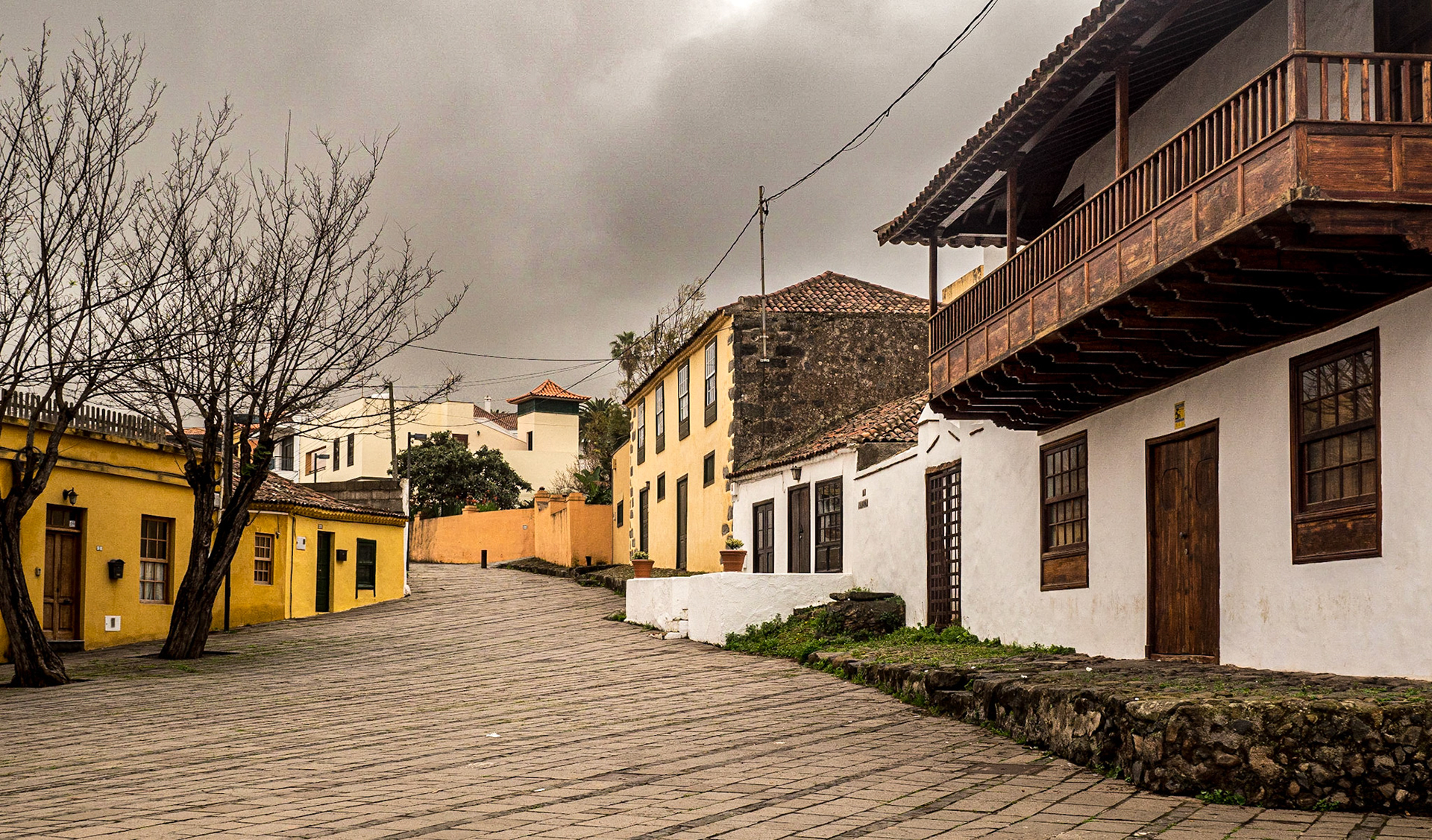 Tacoronte, Tenerife, 29 Jan 2022