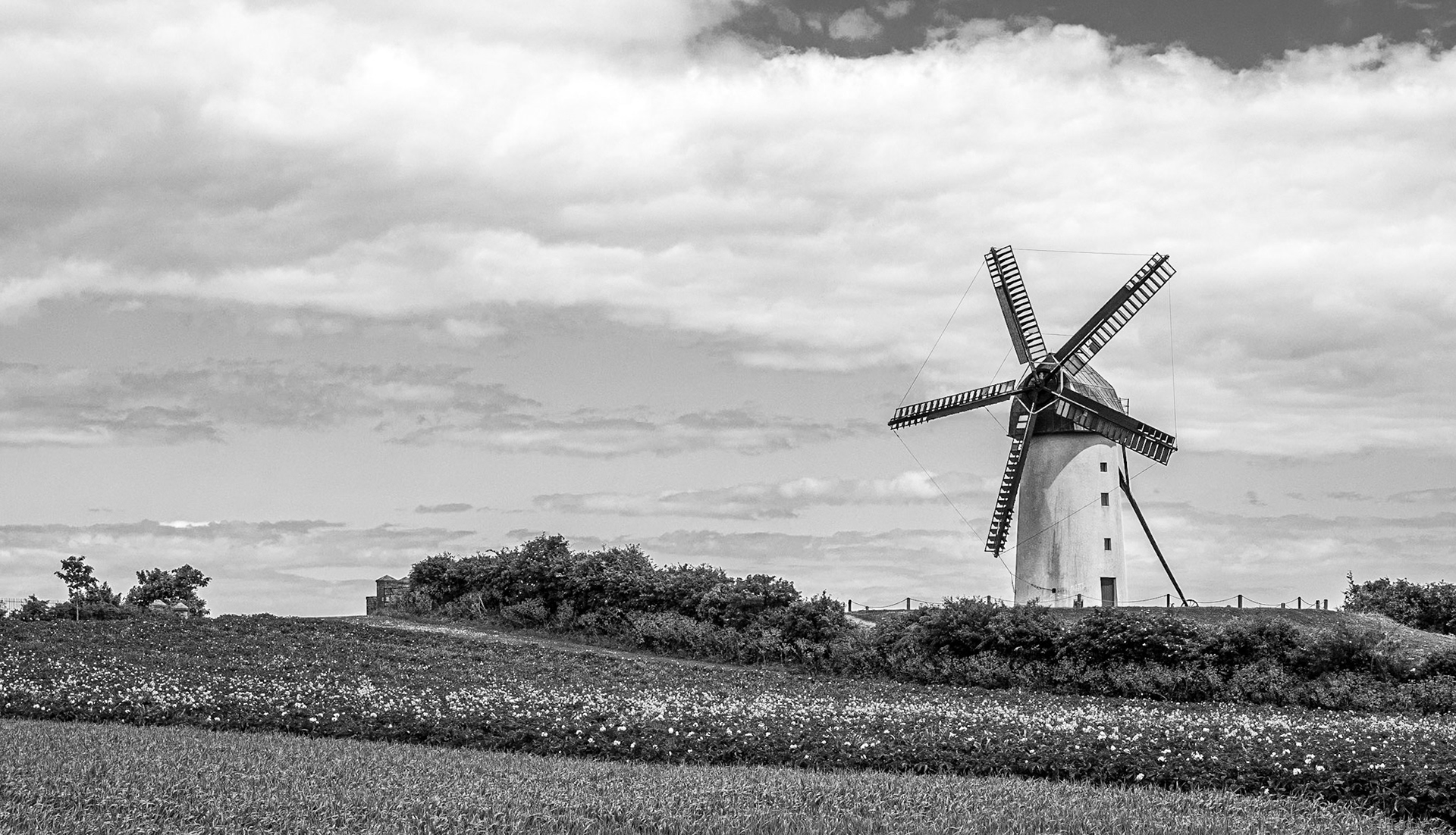 Windmill, Skerries, Co Dublin, 7 Jun 2015