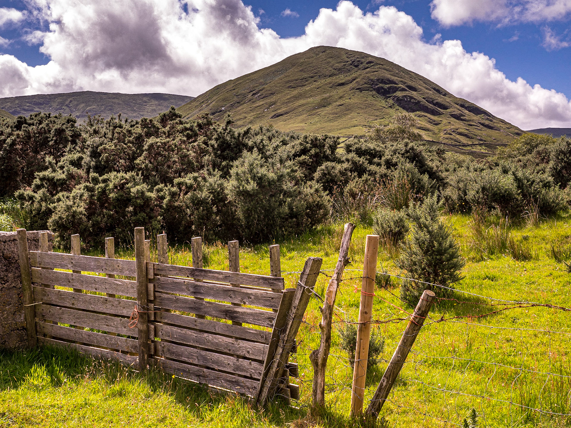 By Lough Na Fooey, Co Galway, 28 Jul 2020