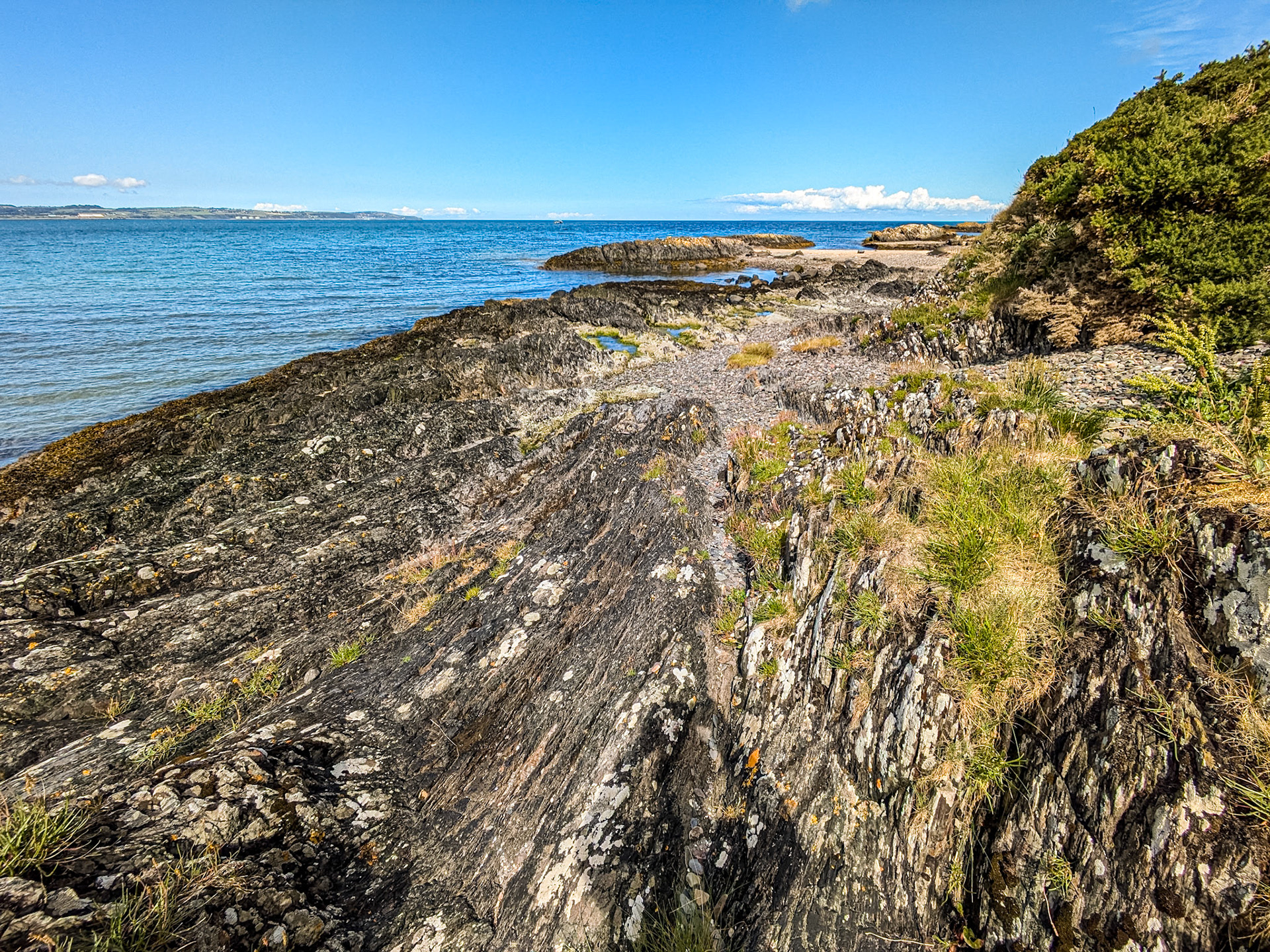 Helen's Bay, Co Down, 8 Jul 2024