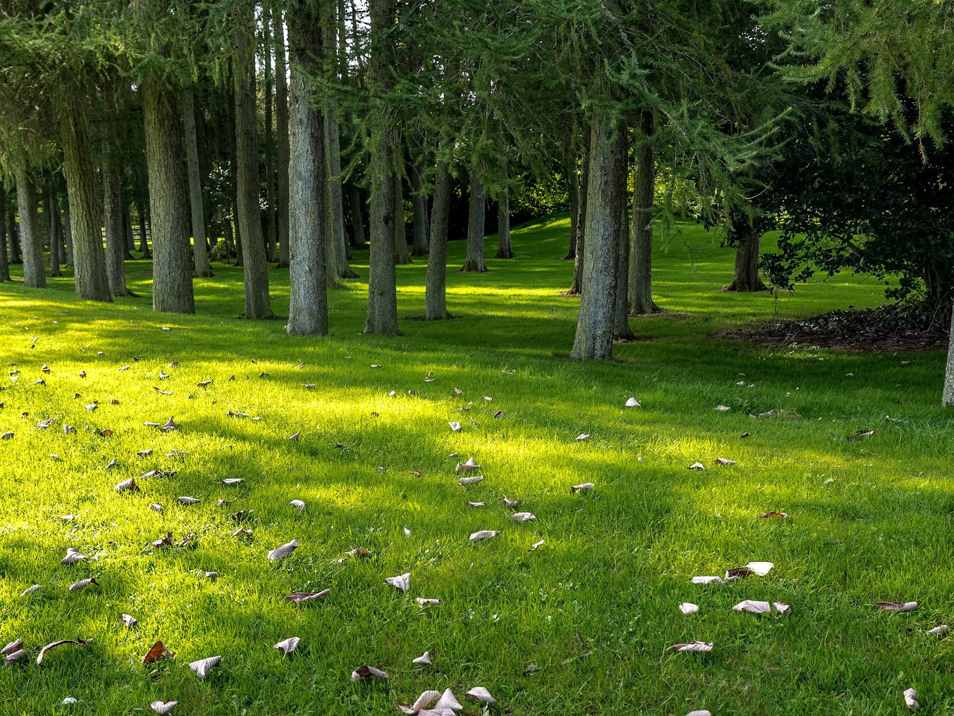 National Stud Gardens, Kildare, 20 Sep 2016