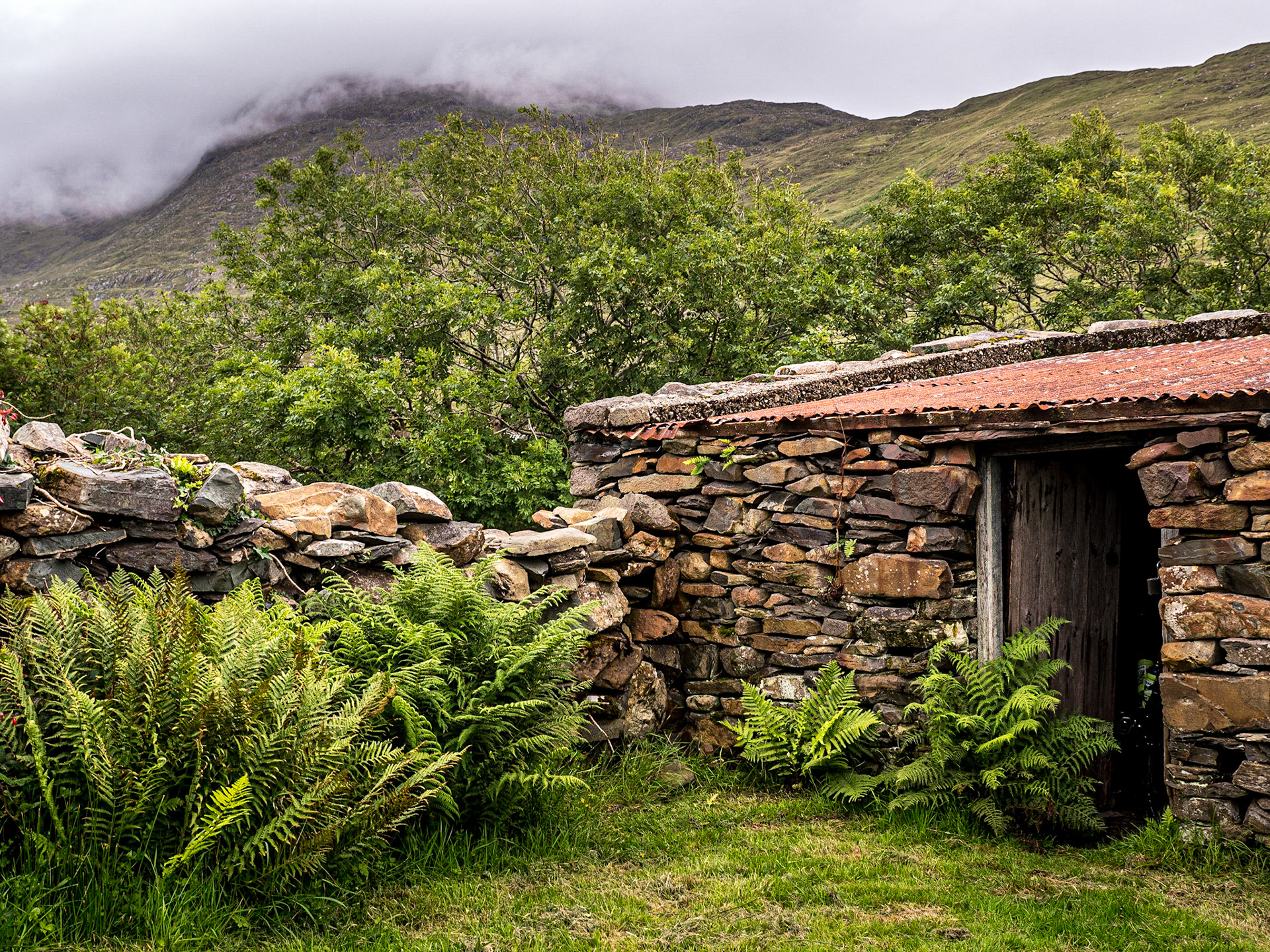 At Elisha &amp; Cuan's rented cottage near Lettergesh, Co Galway, 27 Jul 2020