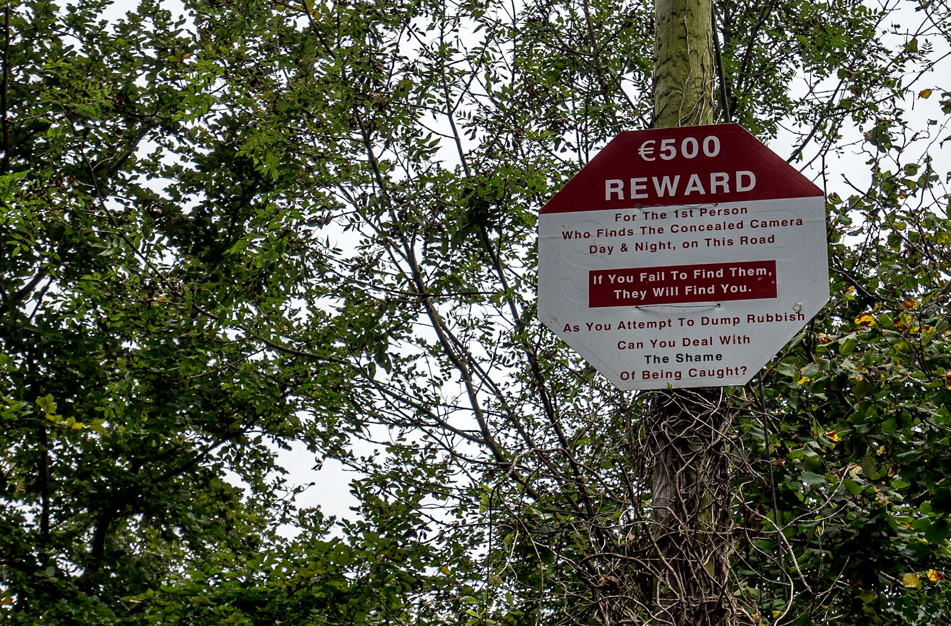Chapel Cross, near Portarlington, Co Laois, 17 Sep 2020