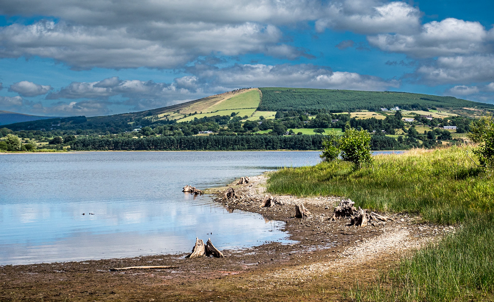 Blessington Lakes, Co Wicklow, 7 Aug 2022