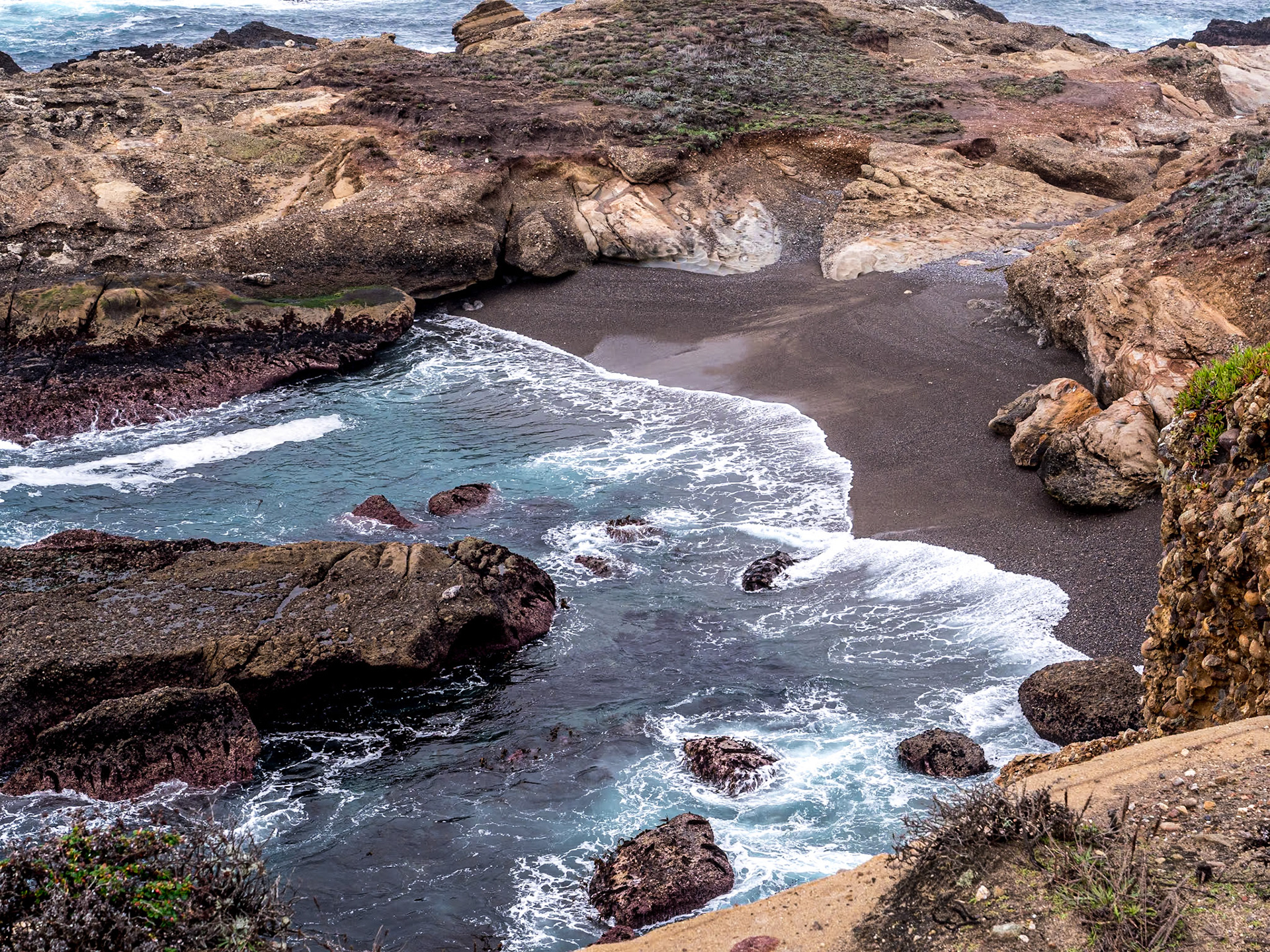 Point Lobos State Natural Reserve, California, 22 Jan 2024