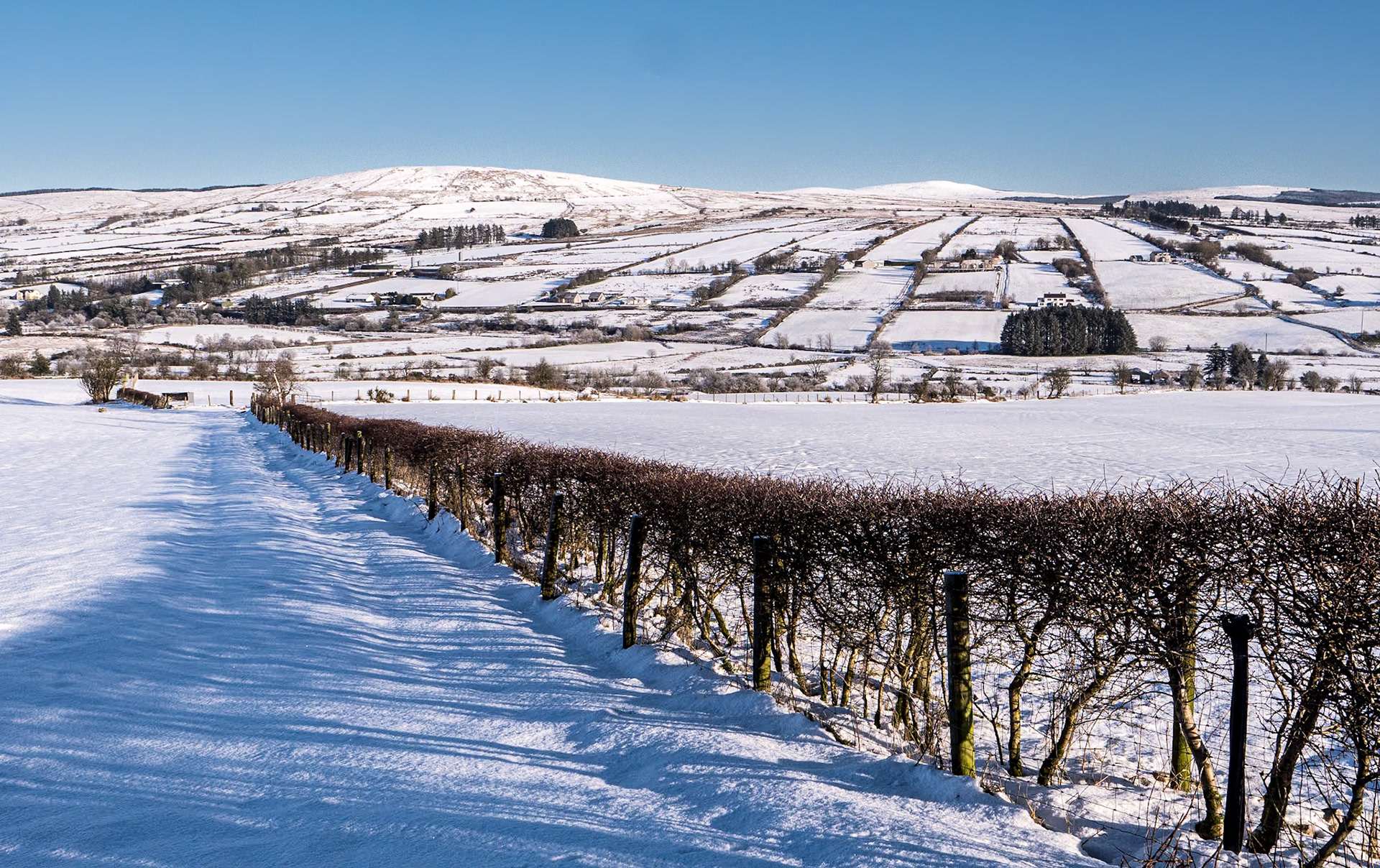 Greencastle, Co Tyrone, 20 Jan 2023