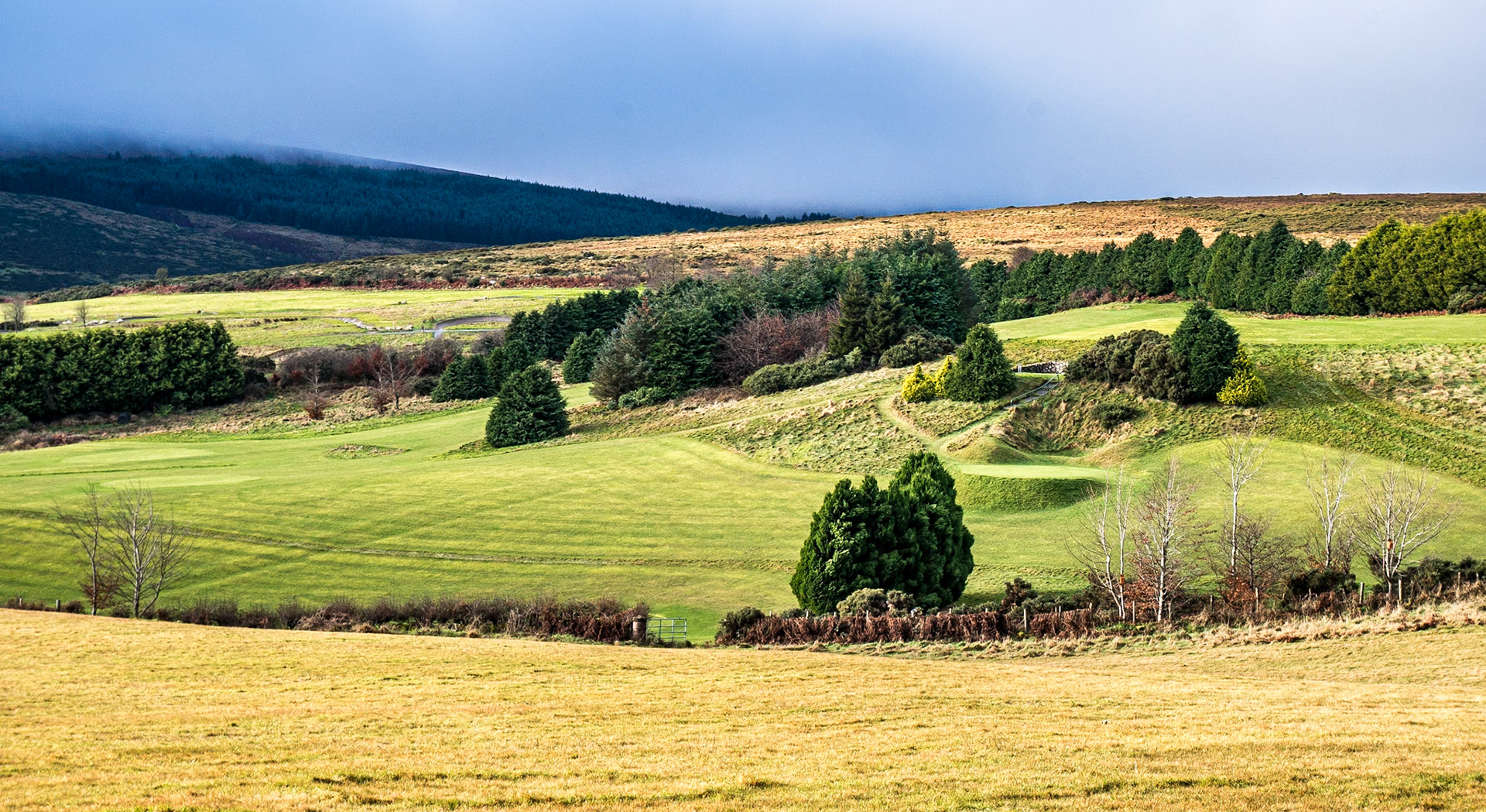 Glencullen, Co Dublin, 4 Jan 2018