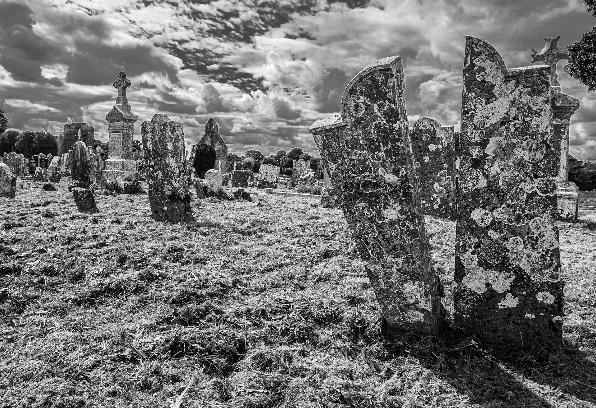 Abbeyshrule Abbey, Co Longford, 30 Aug 2018
