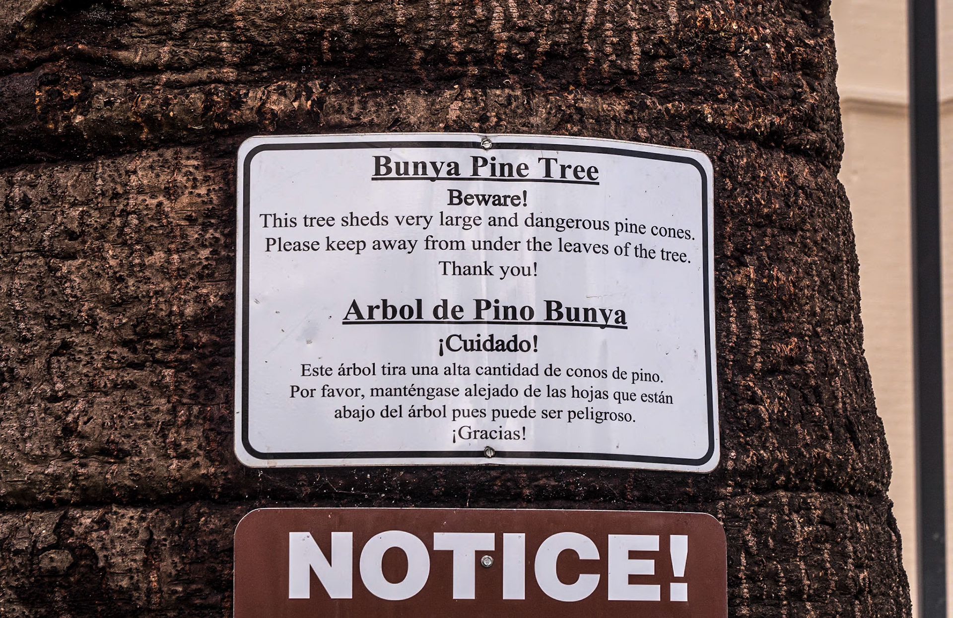 Santa Cruz, California, 21 Jan 2024