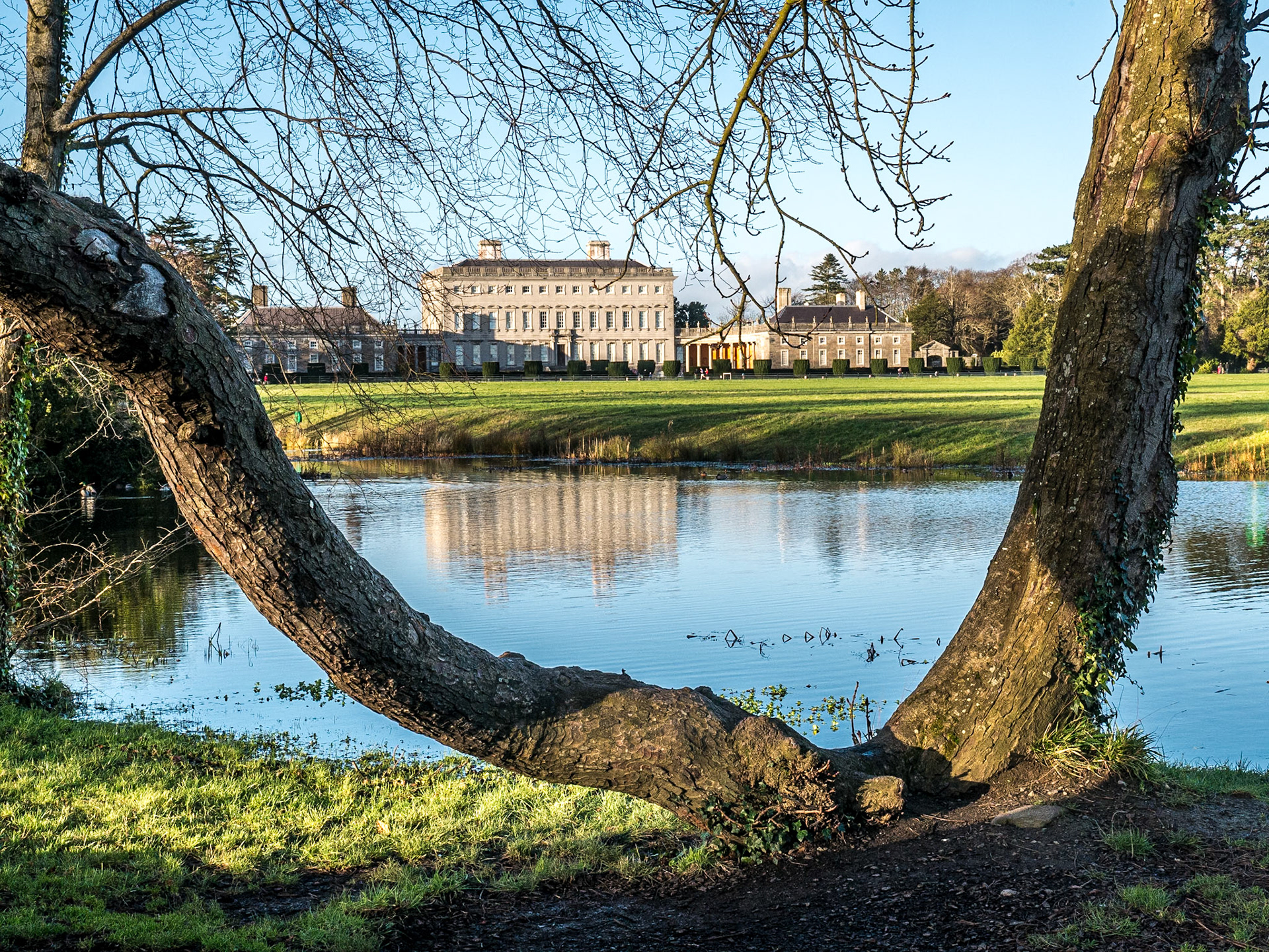 Castletown House, Co Kildare, 3 Jan 2016
