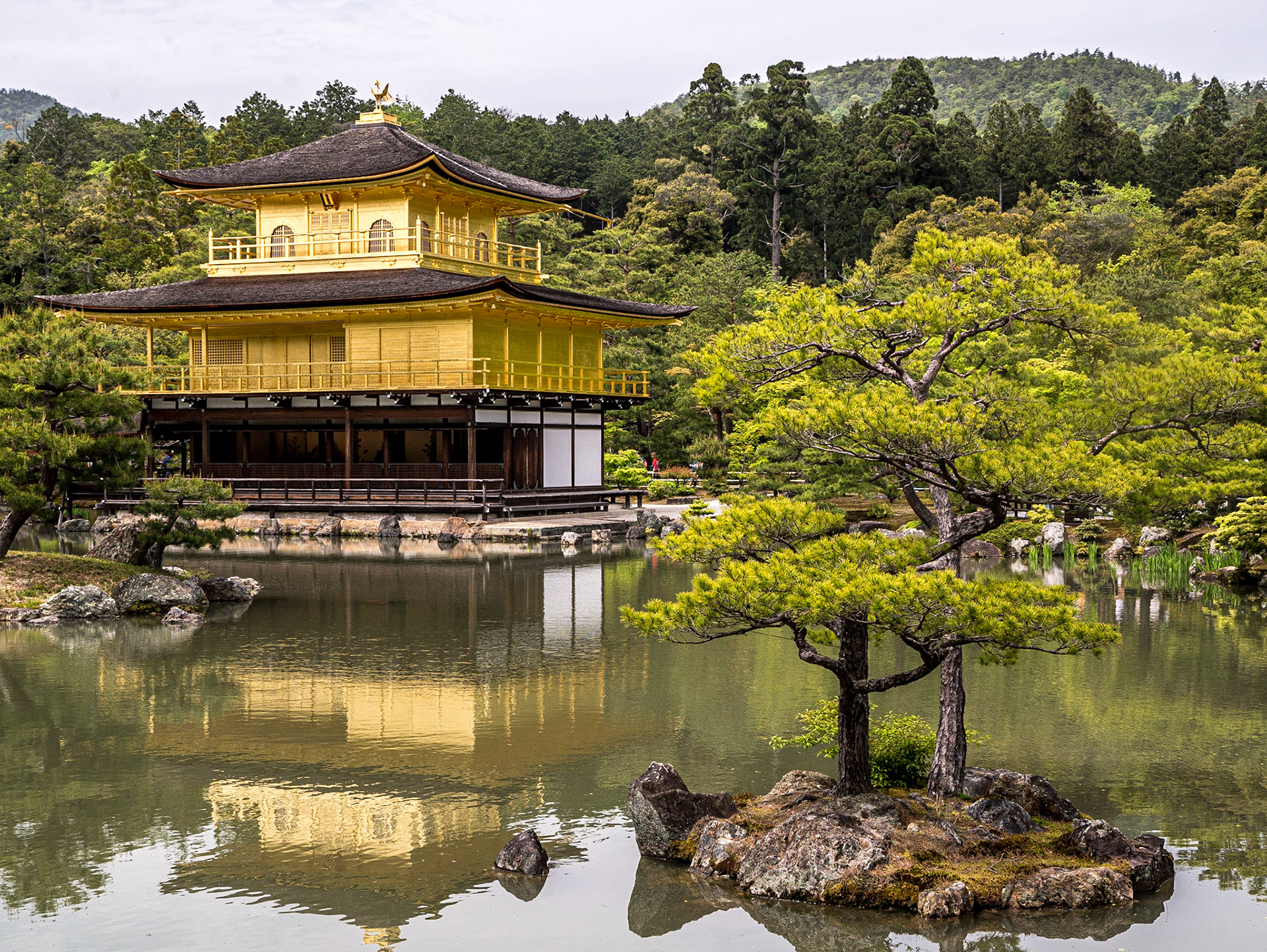 Kinkaku-ji, Kyoto, 24 Apr 2016