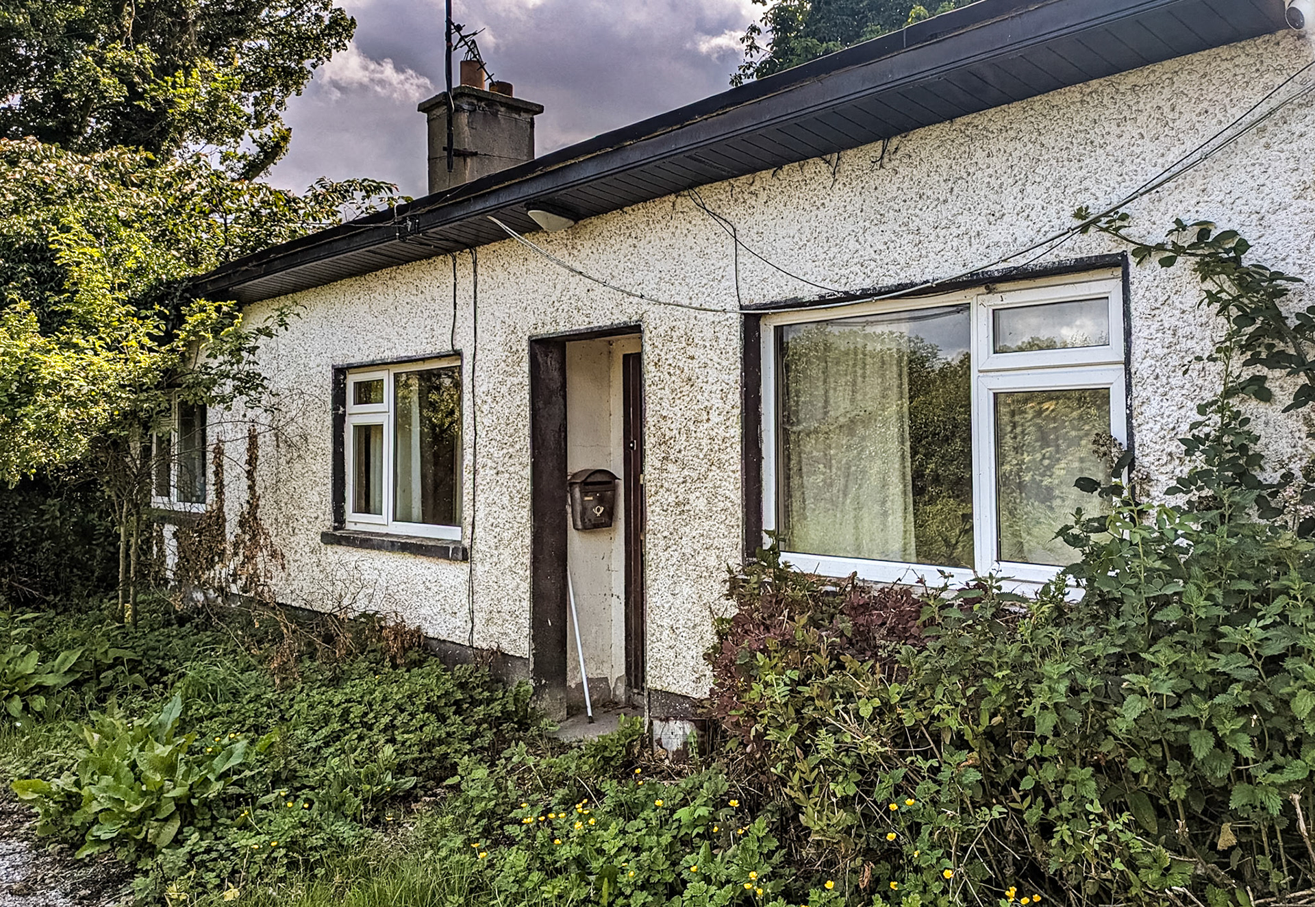 Near Castletown, Co Meath, 26 Jun 2025