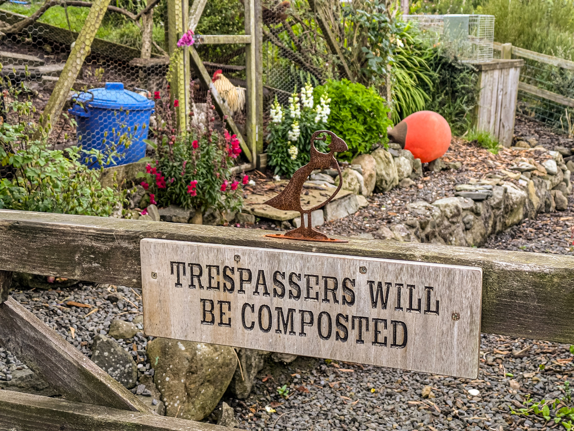 The Gobbins walk, Co Antrim, 10 Jul 2024