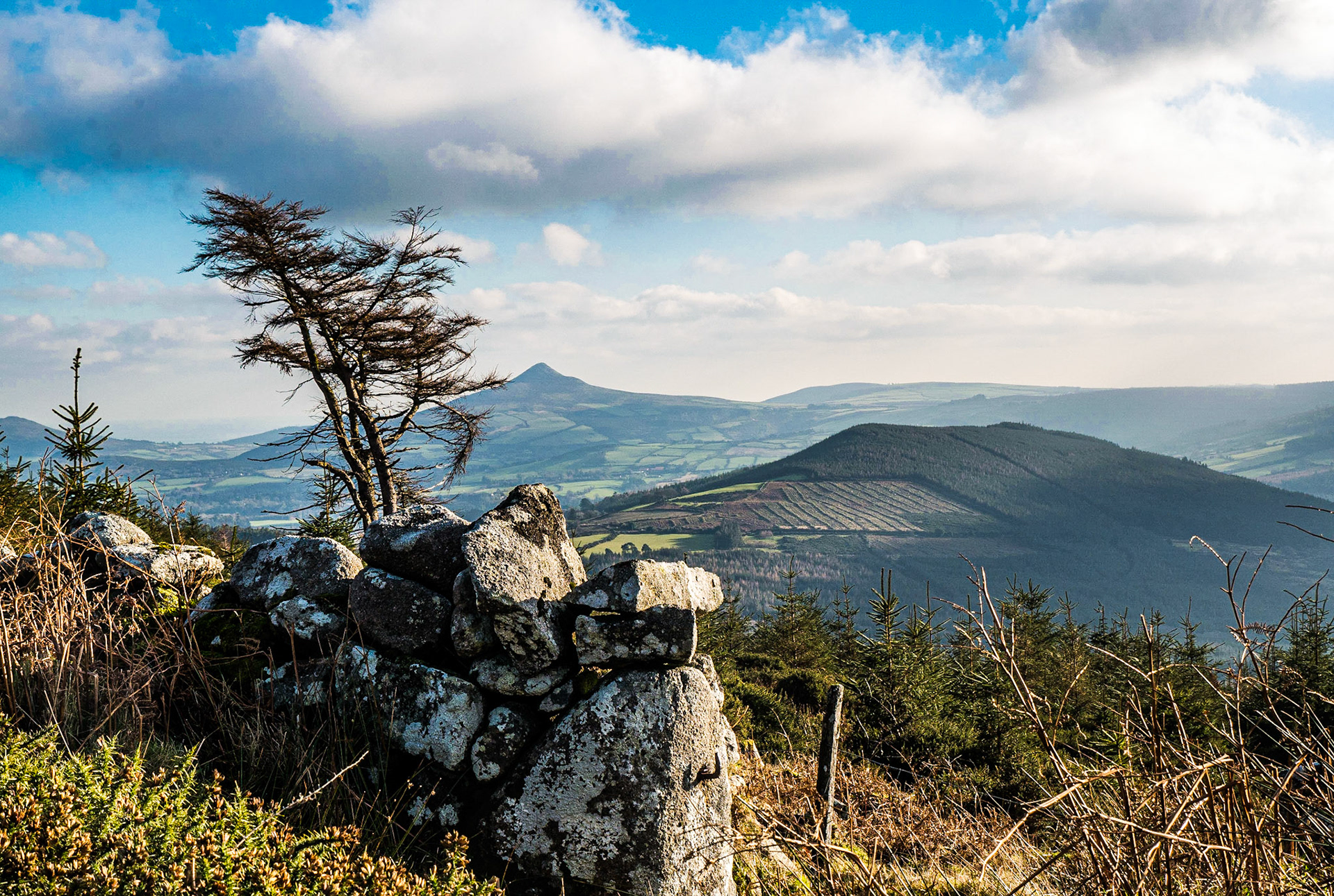 View from Prince William's Seat, Co Wicklow, 20 Jan 2016