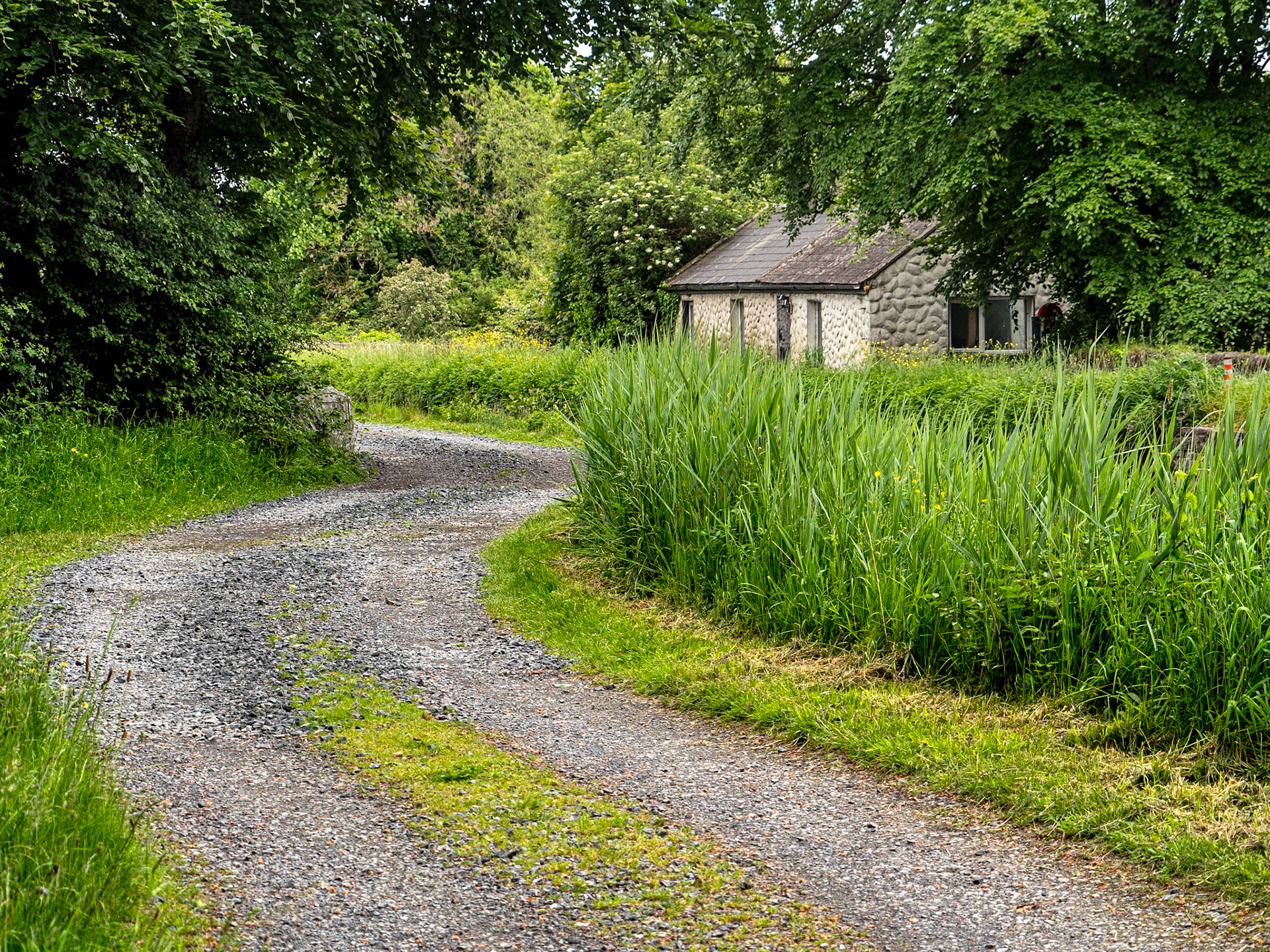 Along the Grand Canal near Sallins, Co Kildare, 22 May 2024