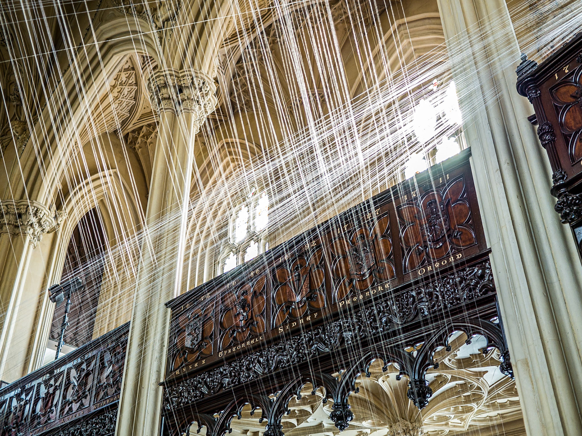 Porcelain Bird installation, Chapel Royal, Dublin Castle, 12 Sep 2014
