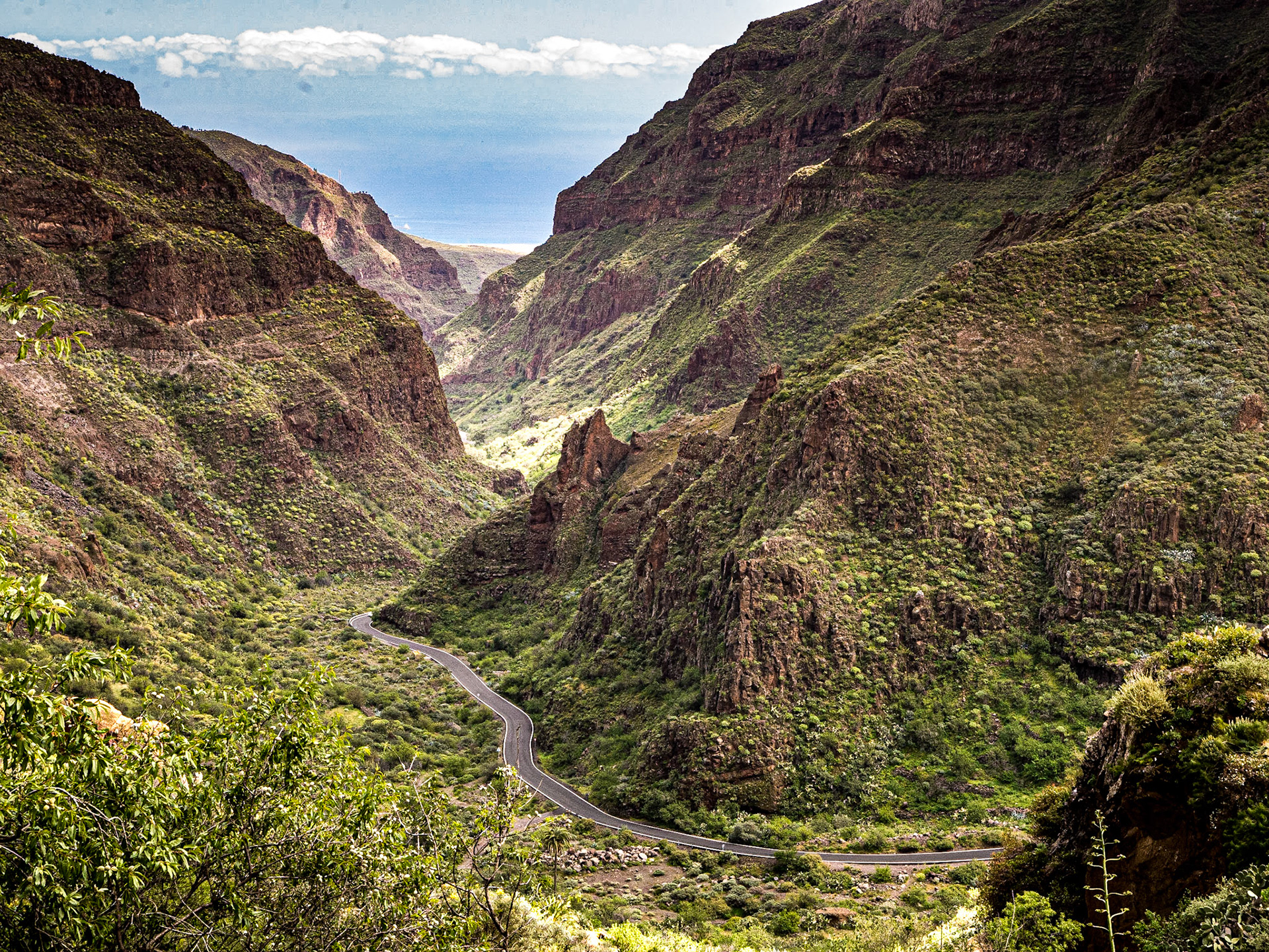 Barranco de Guayadeque, Gran Canaria, 22 Feb 2016