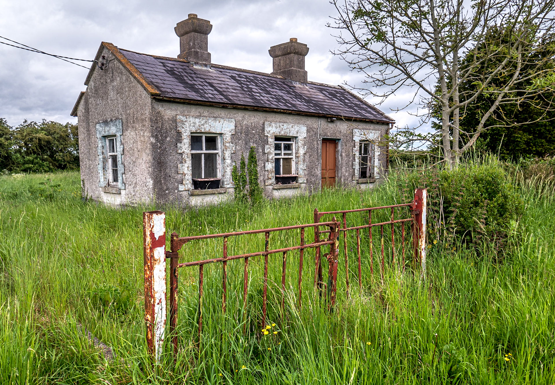 Near Rathangan, Co Kildare, 9 Jun 2021