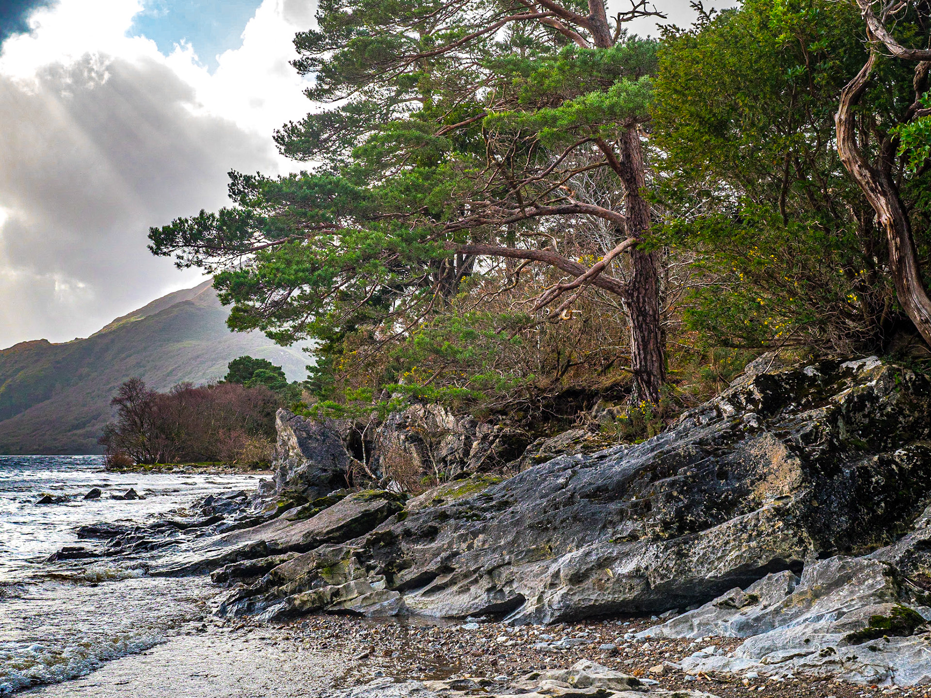 Ross Island, Killarney, Co Kerry, 2 Mar 2019