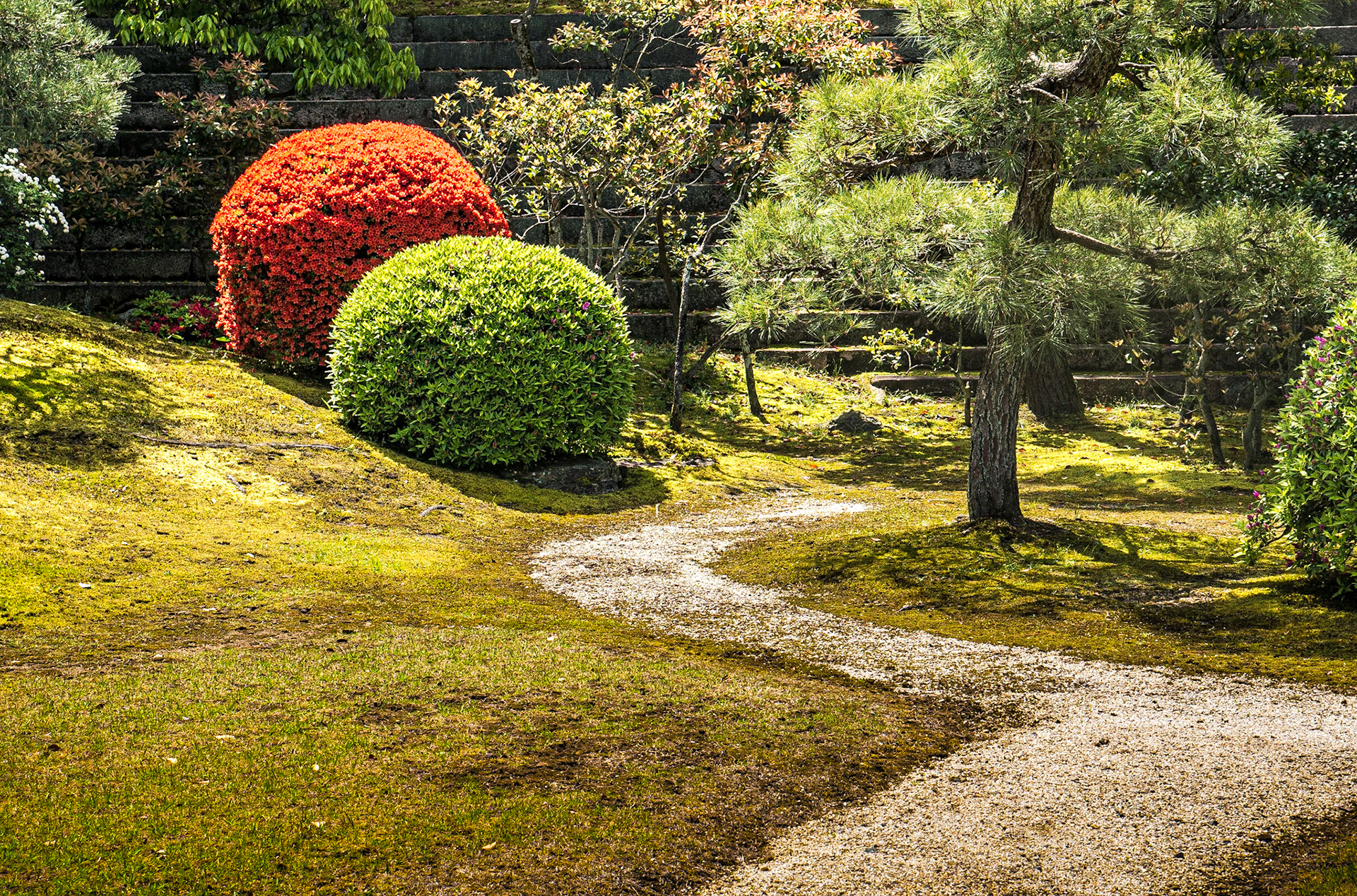 Grounds of Nijo Castle, Kyoto, 24 Apr 2016