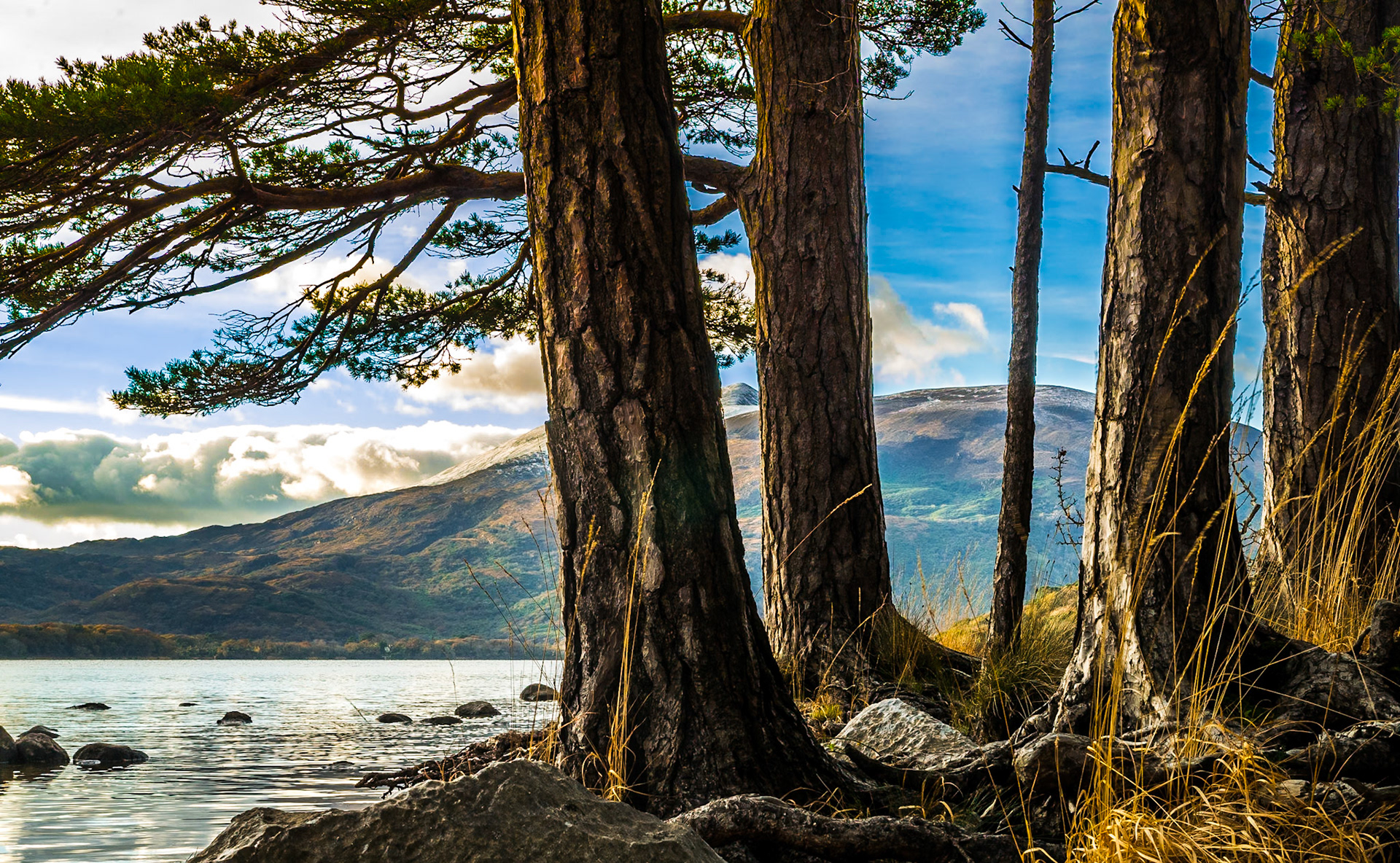 Old boathouse peninsula, Muckross estate, Killarney, Co Kerry, 21 Nov 2016