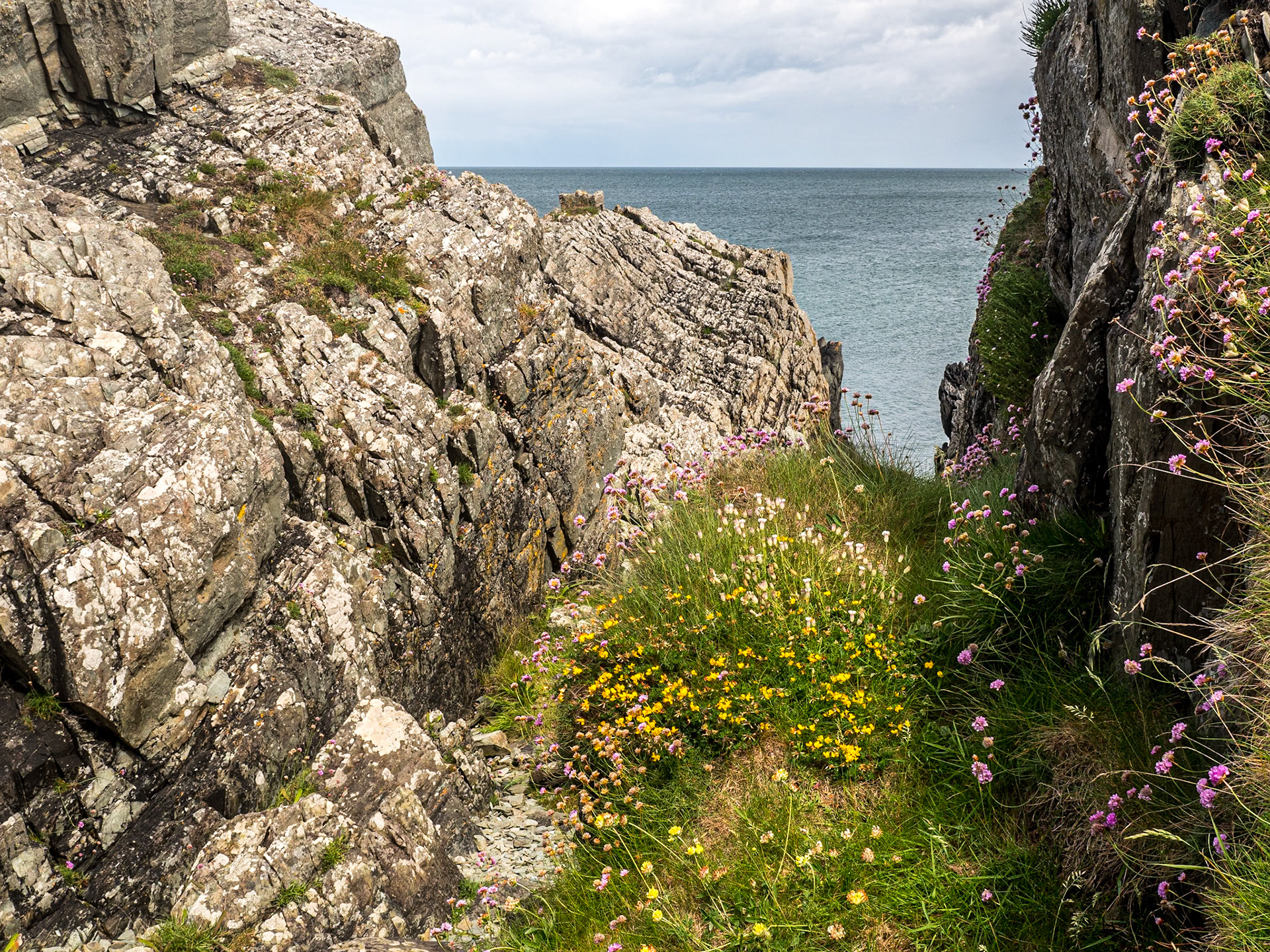 Port Oriel, Co Louth, 12 Jun 2022
