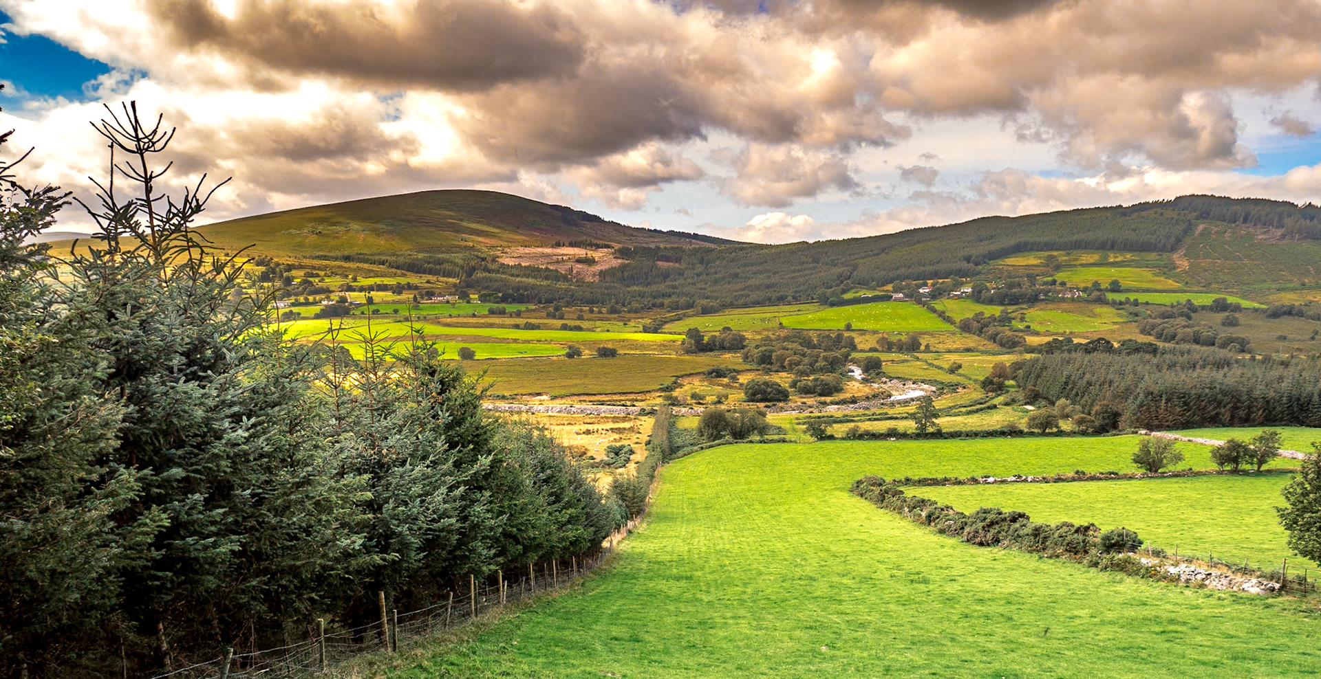Near Ballysmuttan Bridge, Co Wicklow, 5 Sep 2019