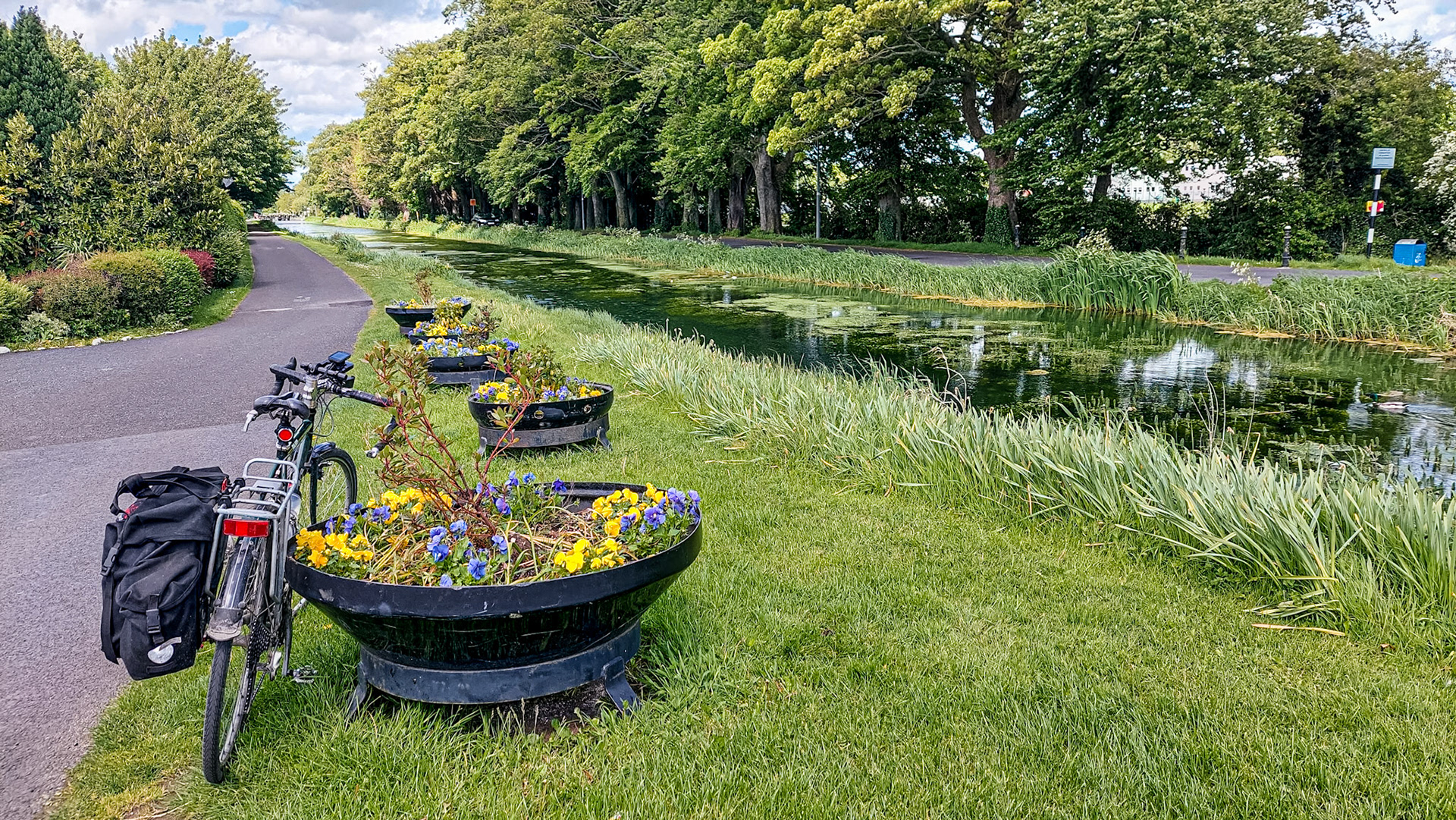 On the Corbally Line, Naas, 19 May 2022
