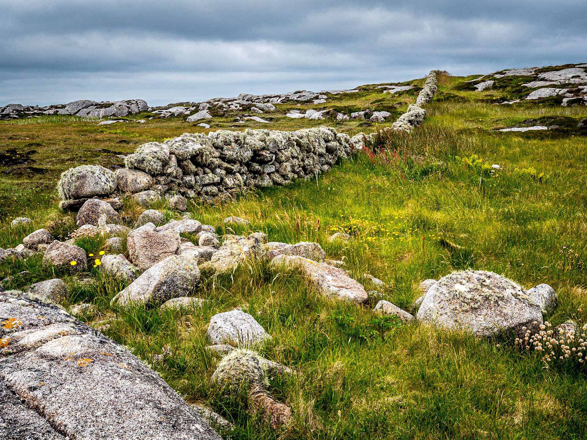 Aughrus Peninsula, Co Galway, 29 Jun 2021