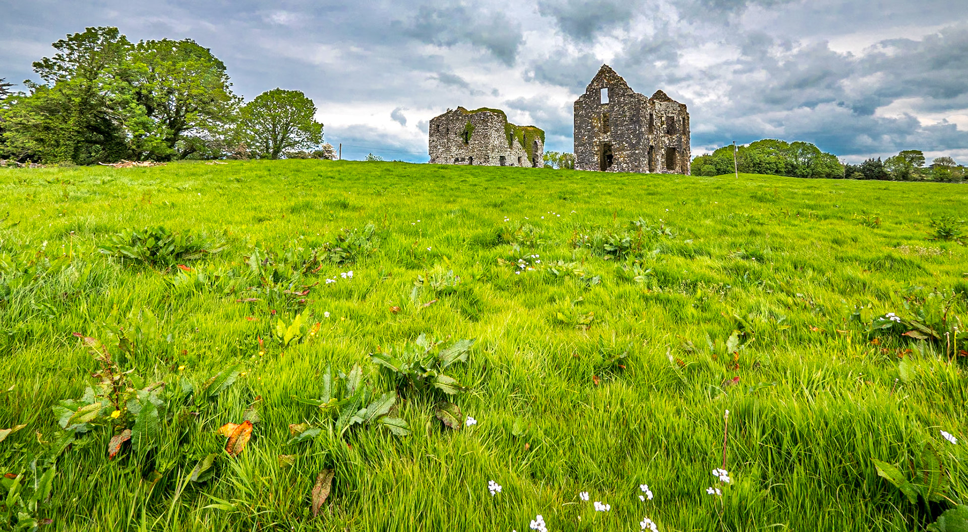 Annaghkeen Castle, Co Galway, 18 May 2019