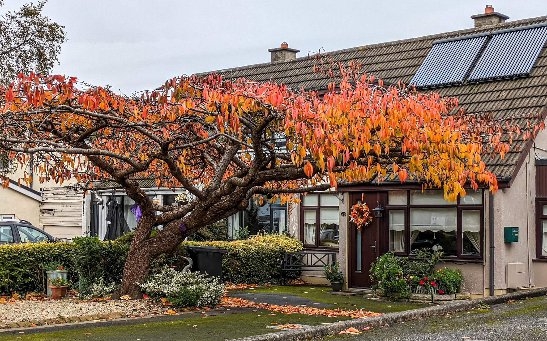 Monastery Walk, Clondalkin, 2 Nov 2023