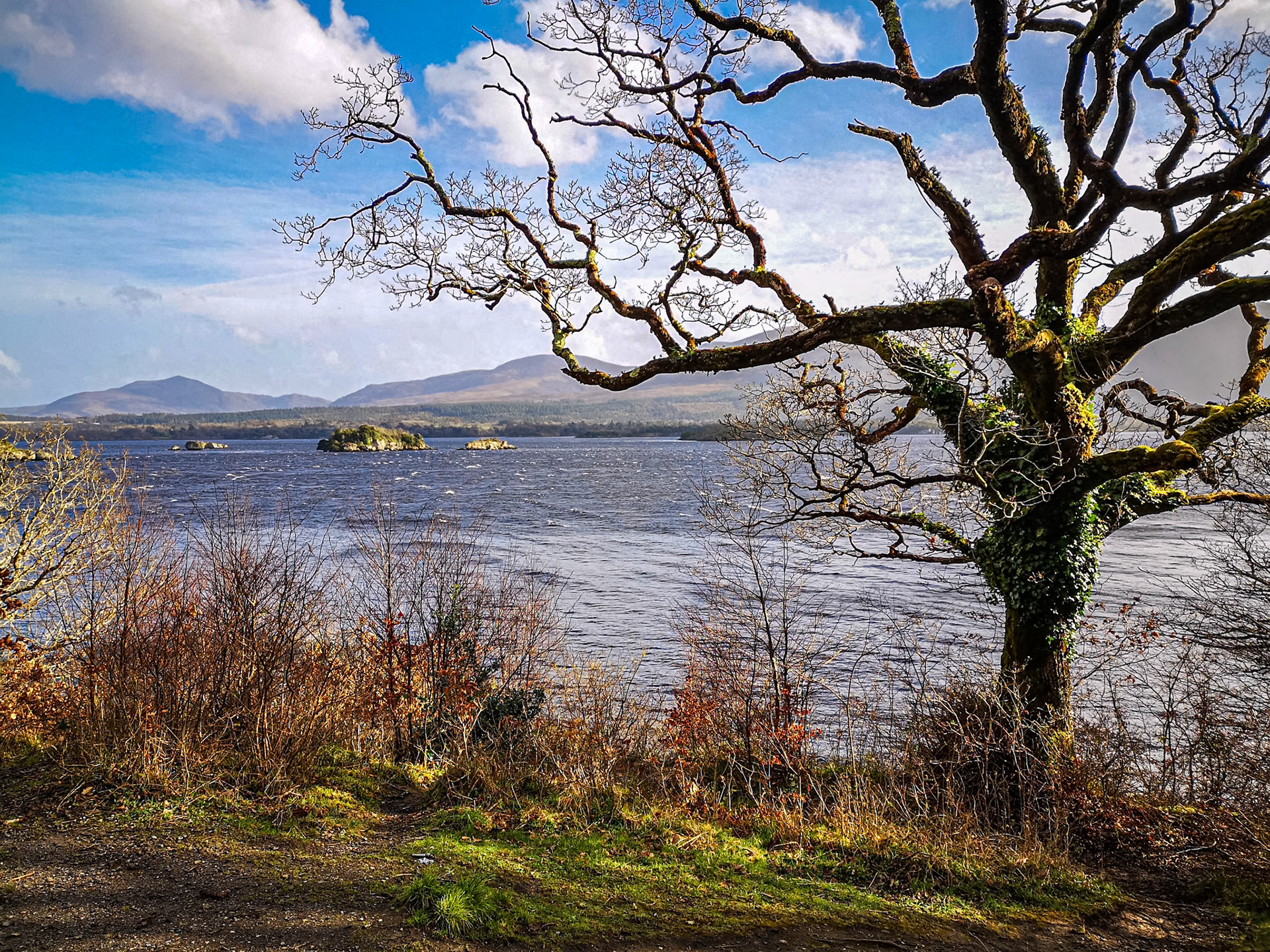 Ross Island, Killarney, Co Kerry, 2 Mar 2019