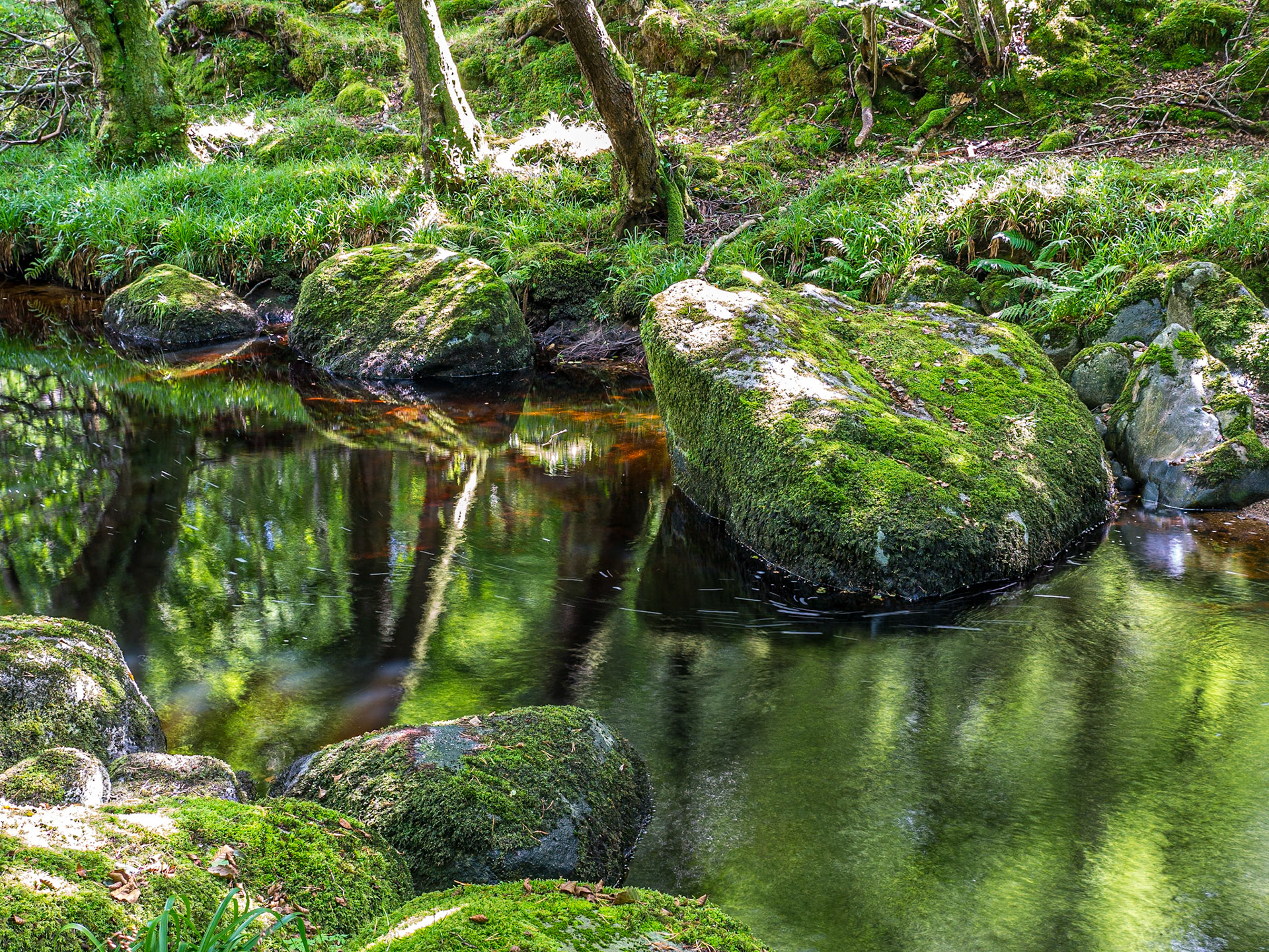 Glencree River, Co Wicklow, 2 Aug 2017