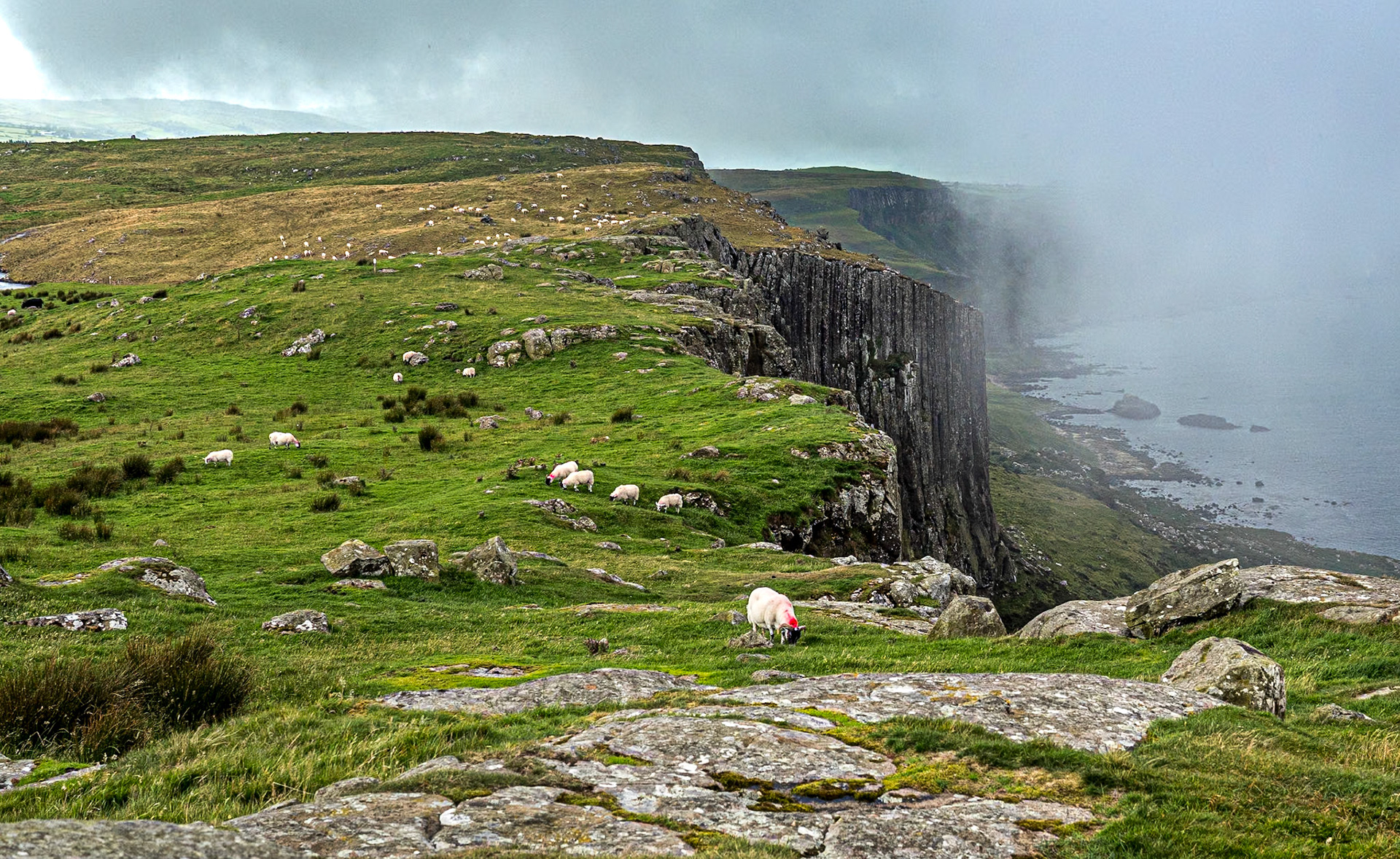 Fair Head, Co Antrim, 7 Aug 2020