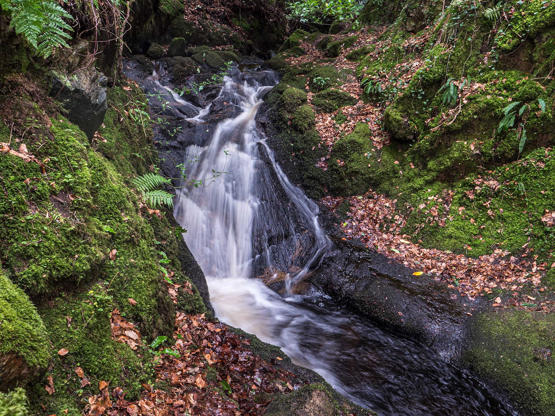 Massy's Estate, Co Dublin, 20 Feb 2024