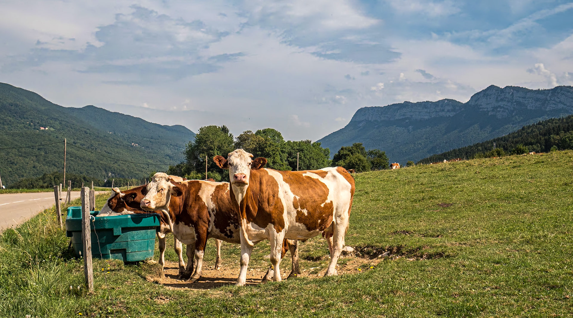 Near Saint-Julien-en-Vercors, France, 14 Aug 2023