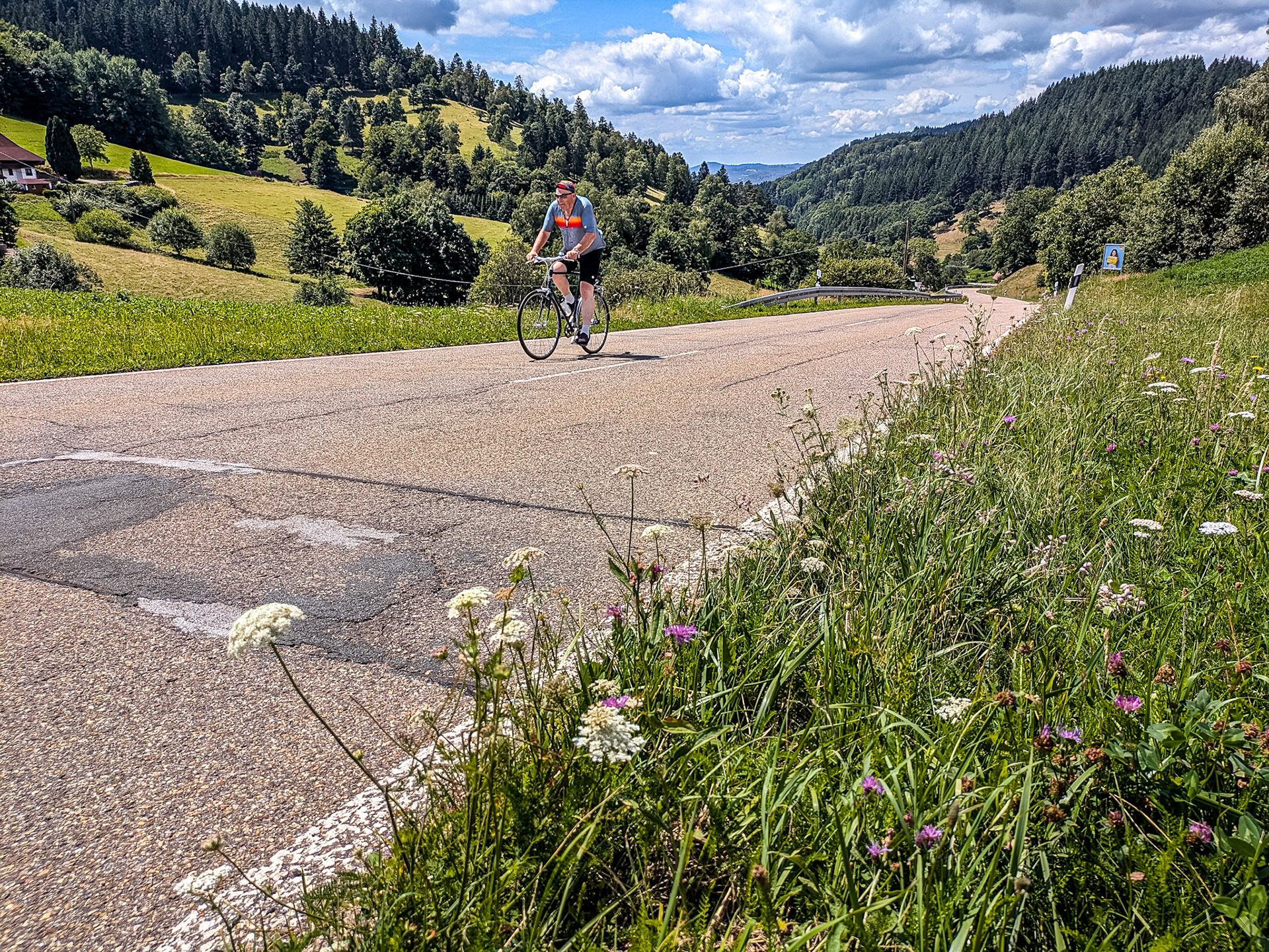 Mark, at Landwassereck in the Black Forest, Germany, 17 Jul 2025