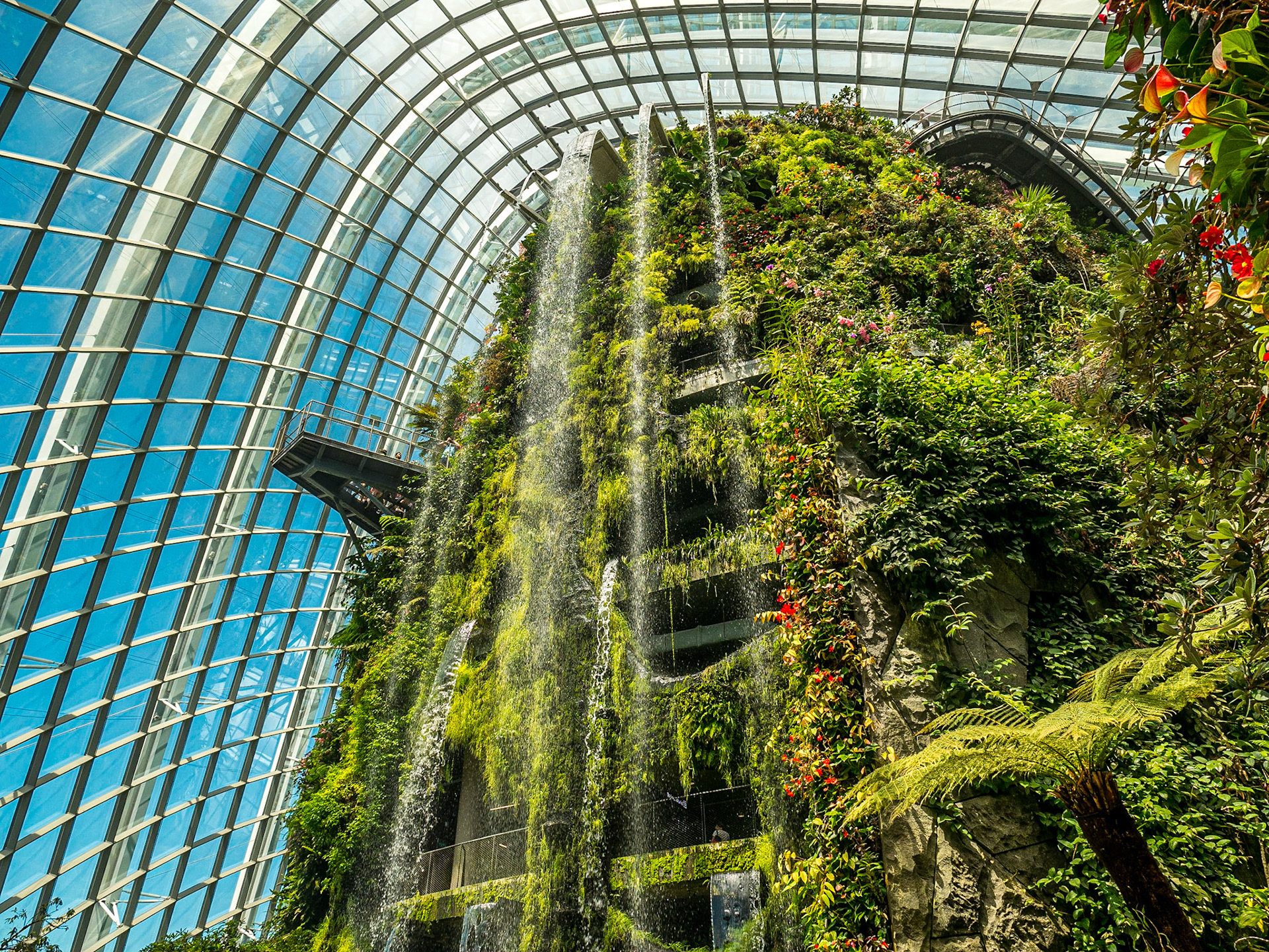Cloud Forest, Gardens by the Bay, Singapore, 3 Jun 2017