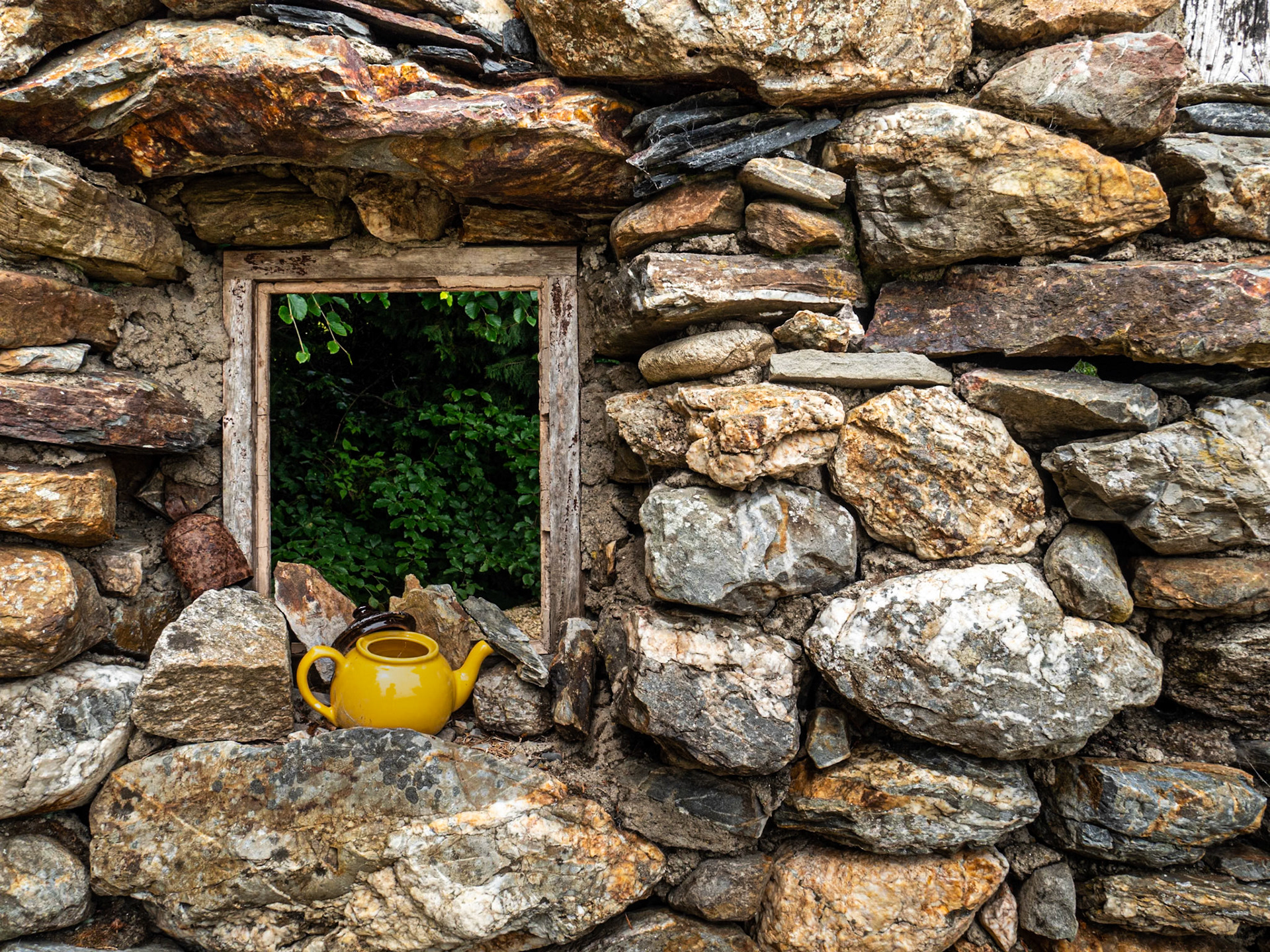 Near Lough Tay, 18 Jun 2020