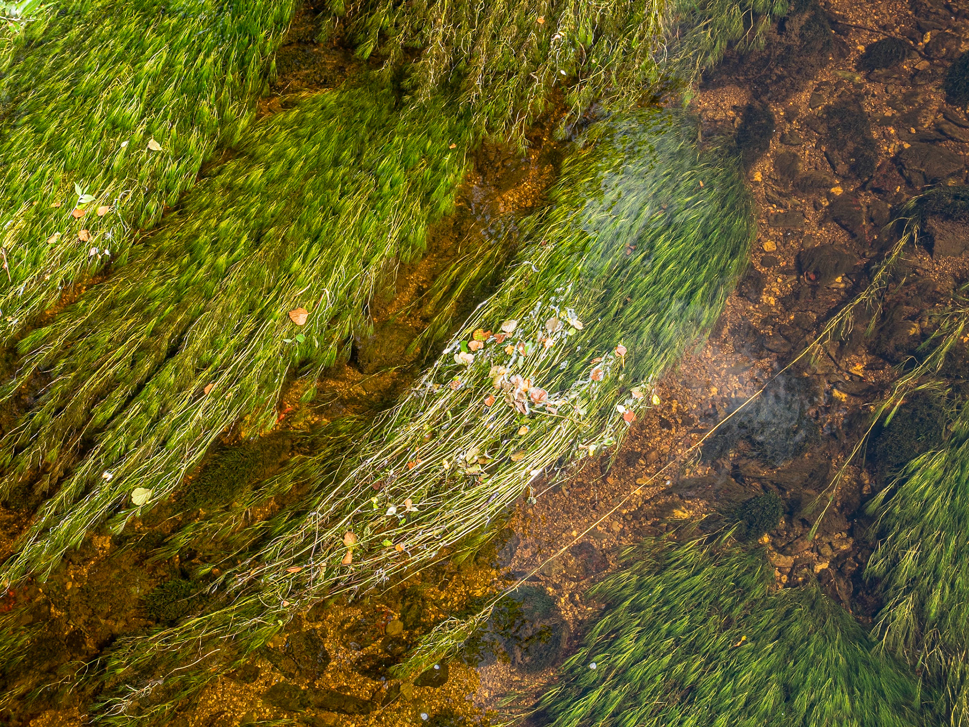 River Slaney, near Stratford-on-Slaney, Co Wicklow, 4 Aug 2022