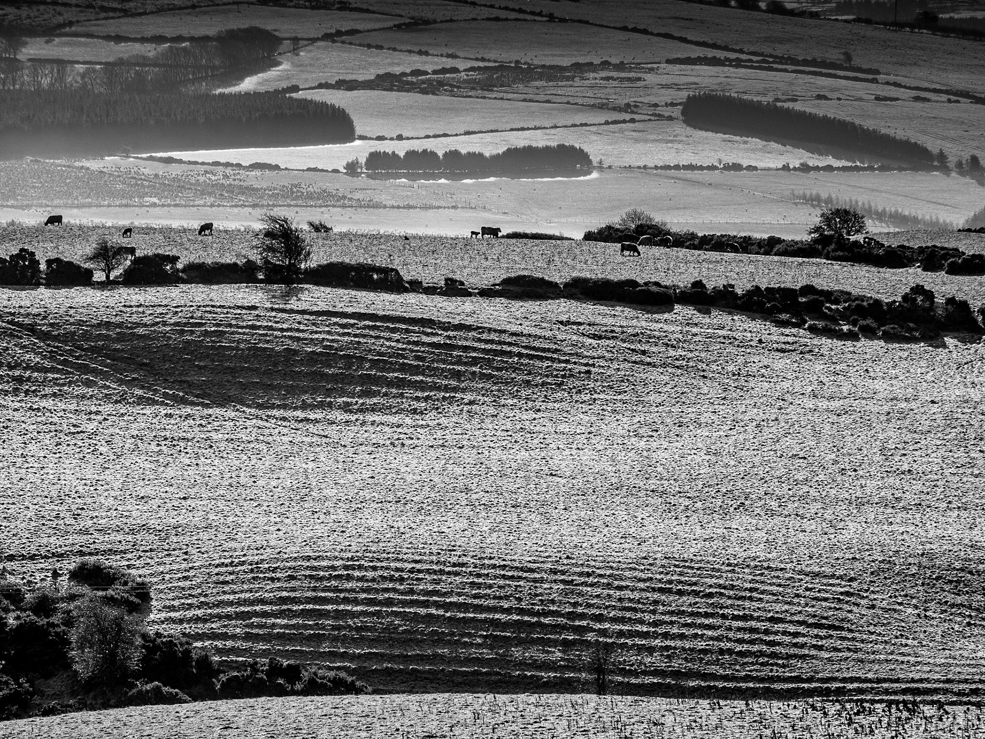 View from Slademore Road, Co Dublin, 8 Feb 2017