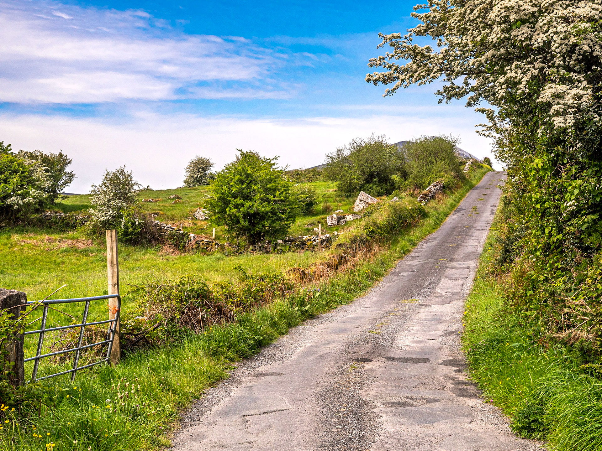 South of Westport, Co Mayo, 15 May 2019