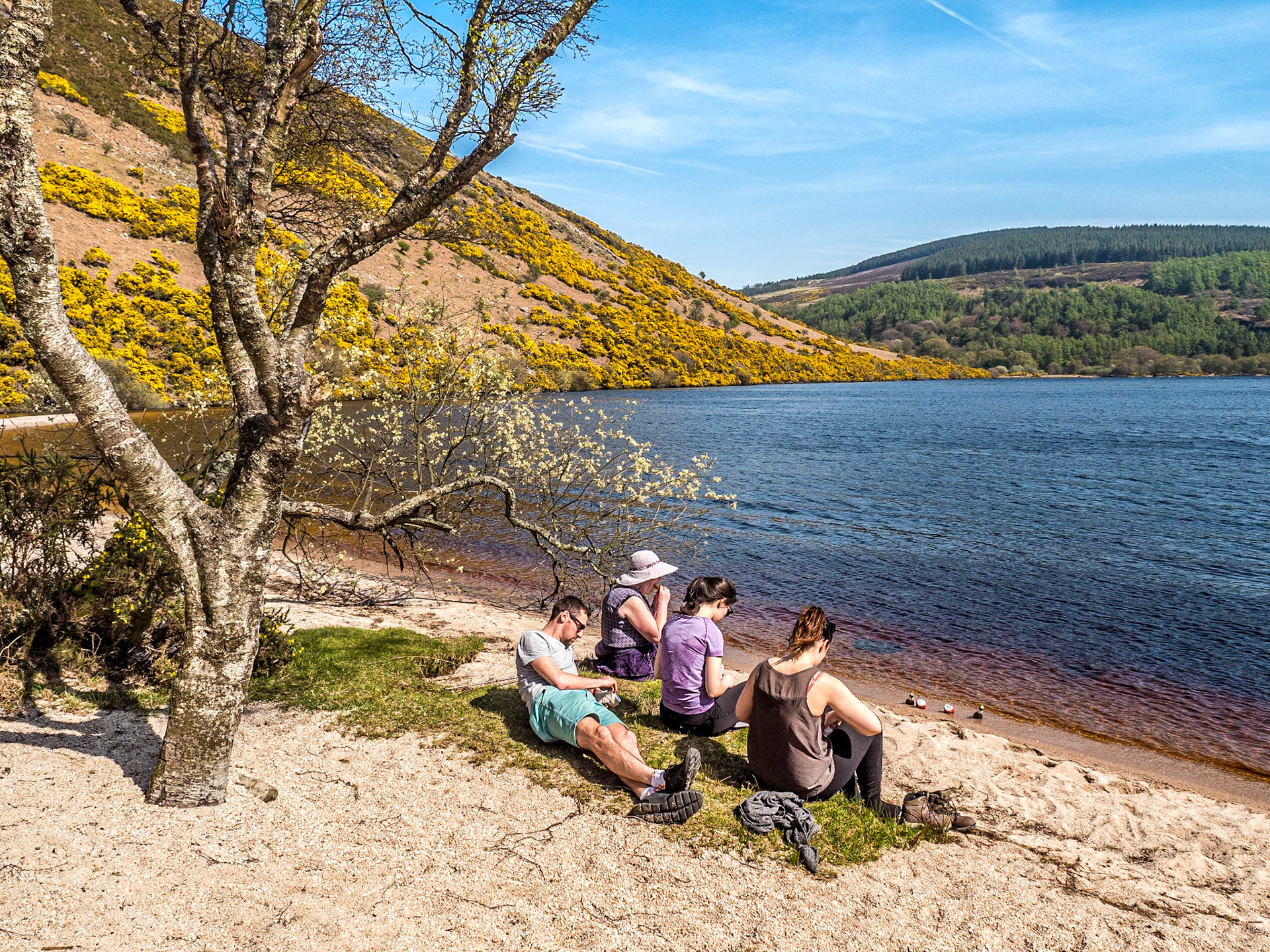 Lough Dan, Co Wicklow, 21 Apr 2019