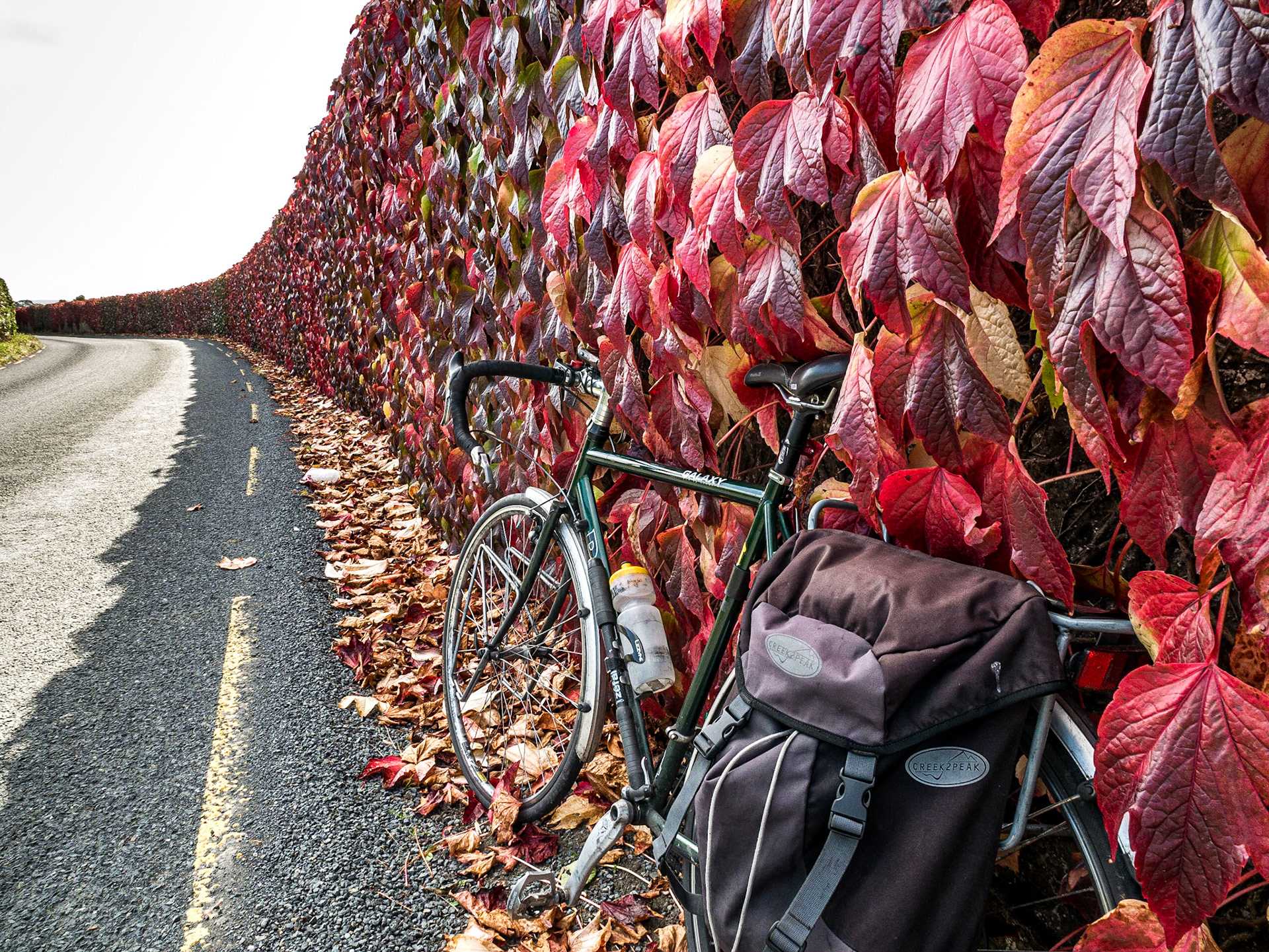 Lyons Estate, Newcastle, Dublin, 26 Sep 2014