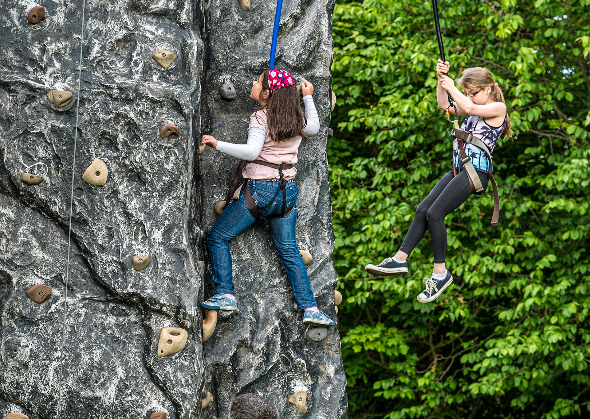 Ardgillan Demesne, Co Dublin, 7 Jun 2015