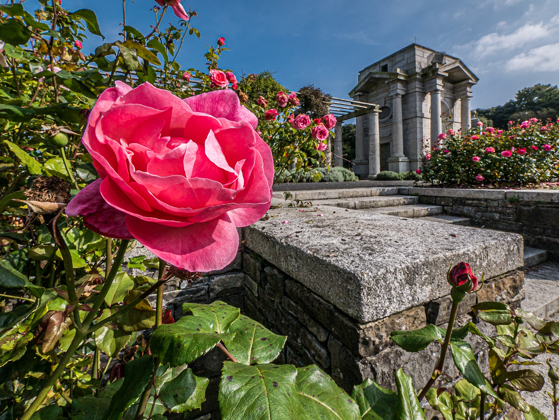 War Memorial Gardens, Islandbridge, 12 Sep 2014