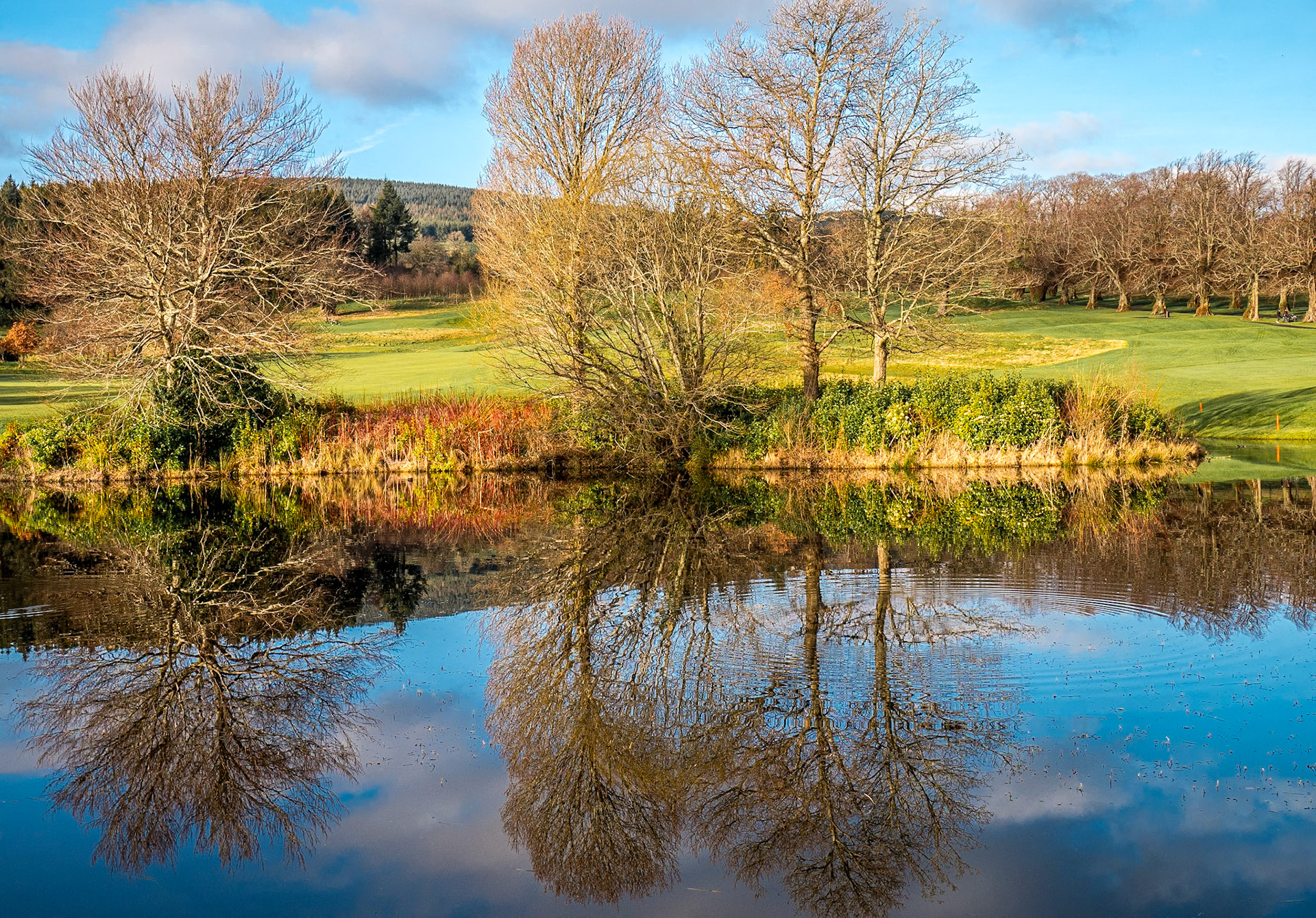 Lake on the golf course at Powerscourt Estate, Co Wicklow, 11 Jan 2018