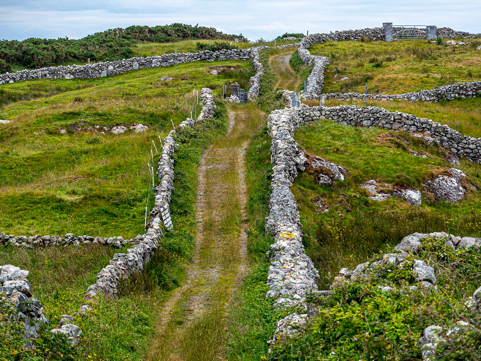 By the Airbnb house, near Carraroe, Co Galway, 15 Jun 2022